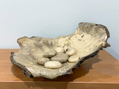 "Rare Sighting: A Nest of Tree Eggs"- Holly Scalloped Bowl w/ Seven Tree Eggs