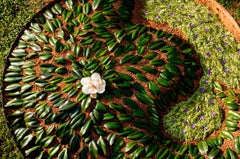 "Summer Magnolia, " Archival inkjet print depicting hand-designed earthwork