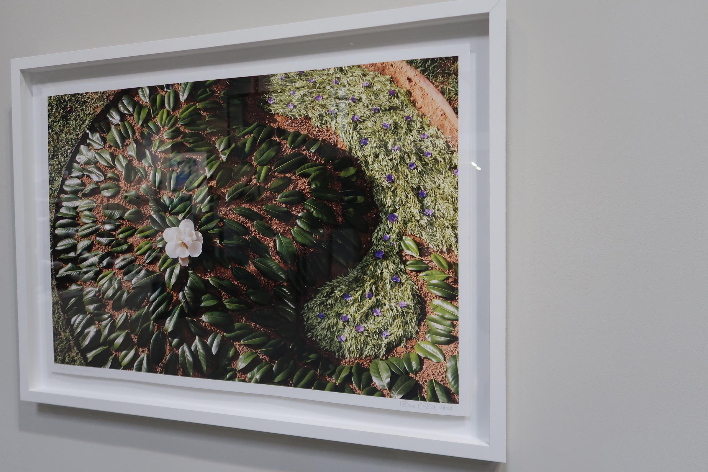 Crista Cammaroto is a prolific interdisciplinary artist whose work focuses on place-making and reconnecting humans with the earth, our primary home. Her Terra Forma print series stems from her three-dimensional earth works. Cammaroto uses natural
