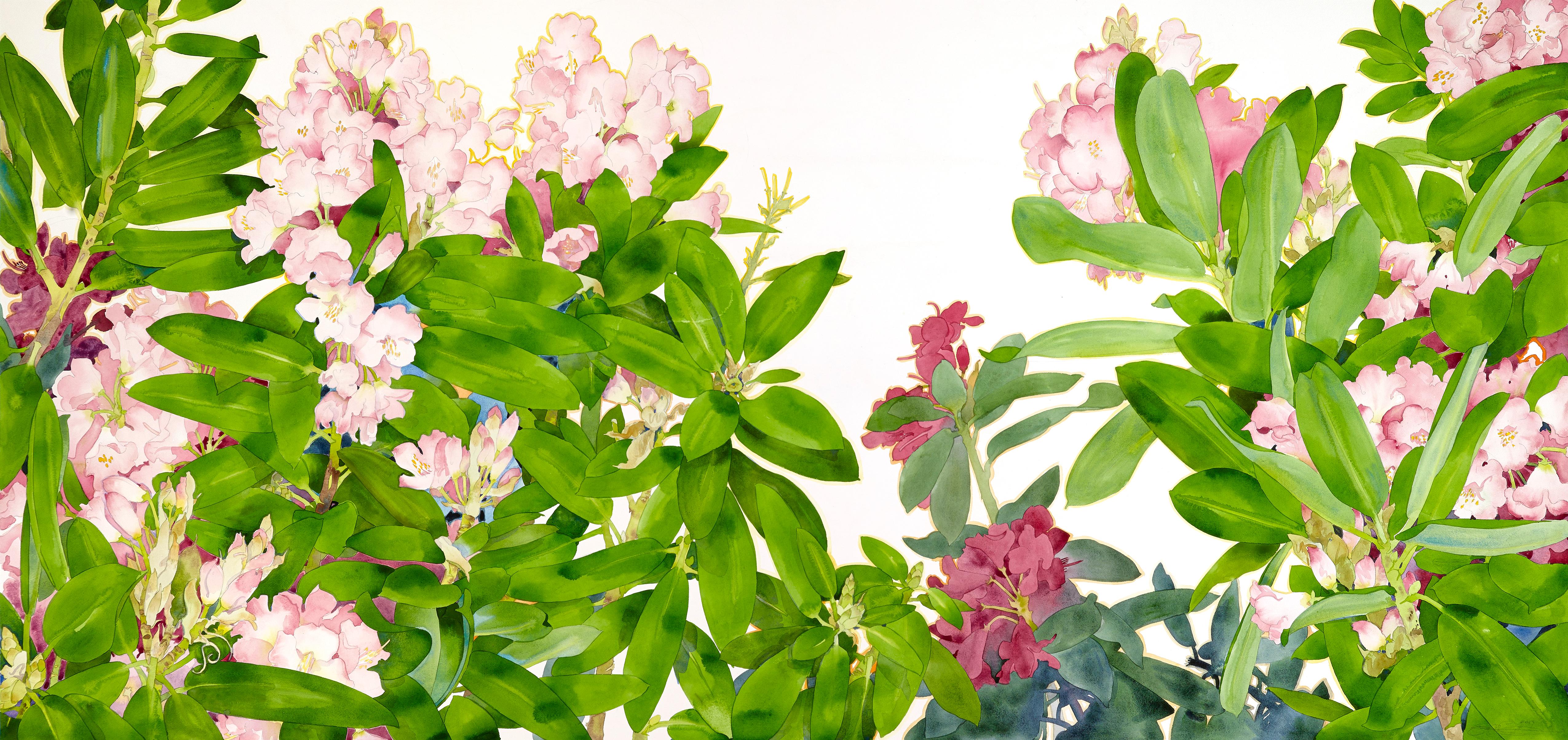 OT - Bukovnik - Rhododendron