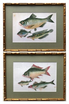A pair of 19th Century Chinese Export Rice Pith Paper watercolors of fish