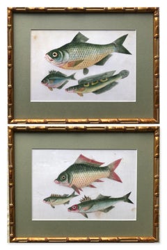 Antique A pair of 19th Century Chinese Export Rice Pith Paper watercolors of fish