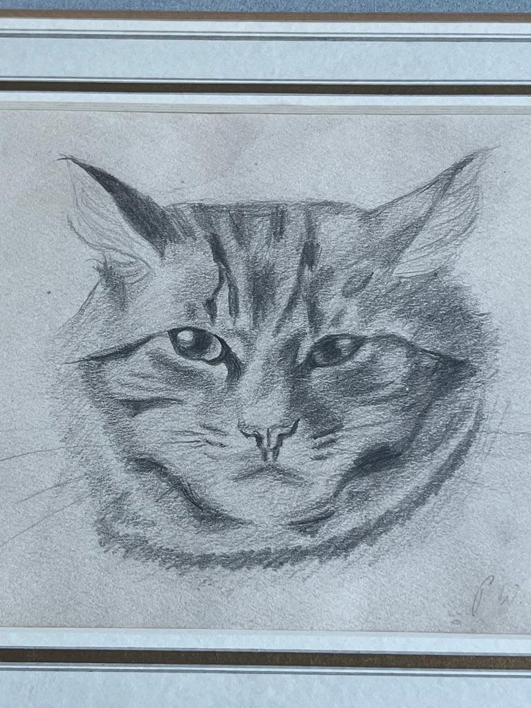 Characterful study of the artist's cat For Sale 1