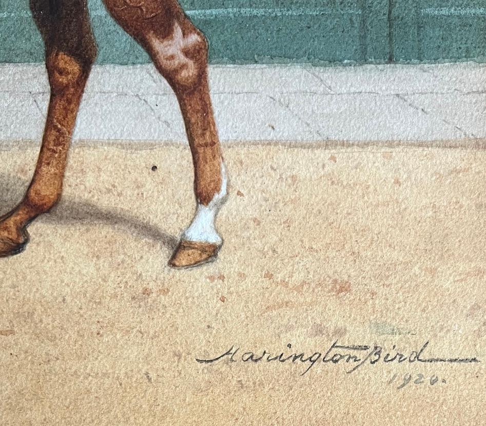 Wunderschönes Porträt eines Vollblutrennpferdes aus den 1920er Jahren 8