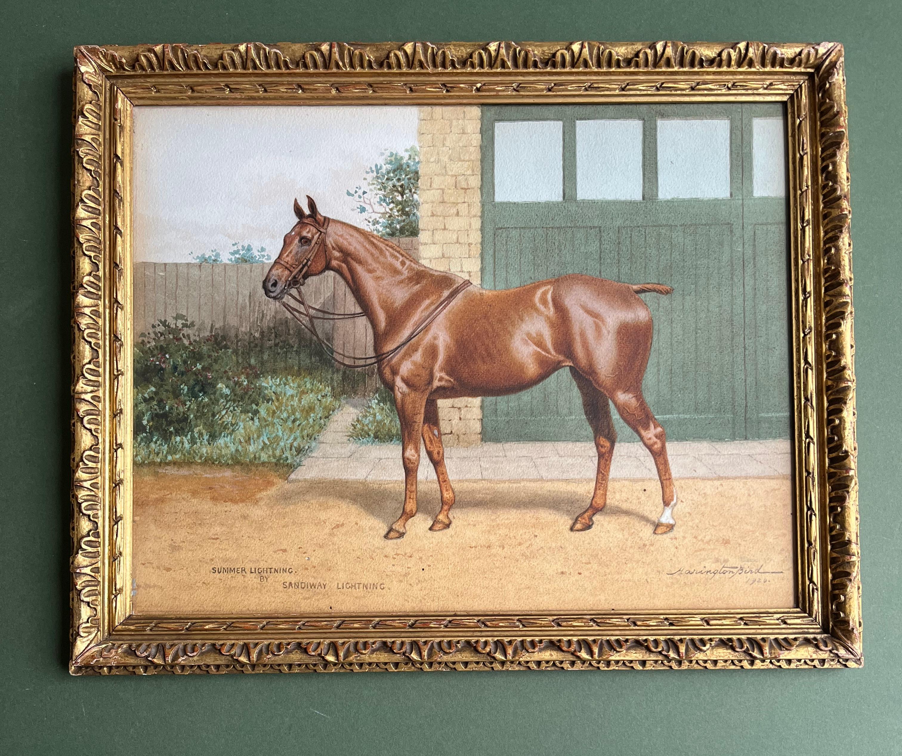Wunderschönes Porträt eines Vollblutrennpferdes aus den 1920er Jahren – Painting von John Alexander Harrington Bird