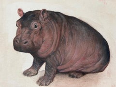 Rafael Mckenzie Soares, Wildlife artist, Baby hippo