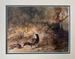 Aquarelle anglaise ancienne représentant des phénix dans un cadre boisé