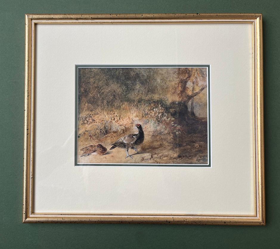 Aquarelle anglaise ancienne représentant des phénix dans un cadre boisé en vente 3