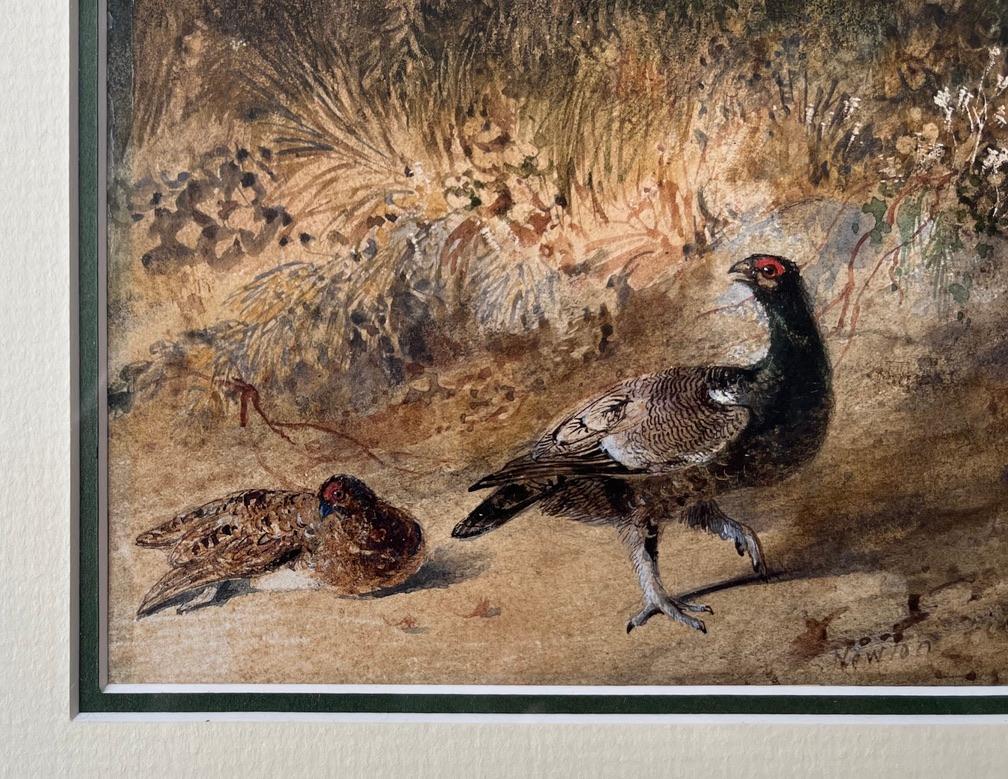 Une image très attrayante de faisans dans un cadre forestier avec des couleurs et une composition fortes.

Newton Smith Limbird Fielding (1799-1856)
Faisan et poule contre un banc de sable
Signé
Aquarelle
6 x 8 pouces avec cadre
13 x 14¾ pouces avec