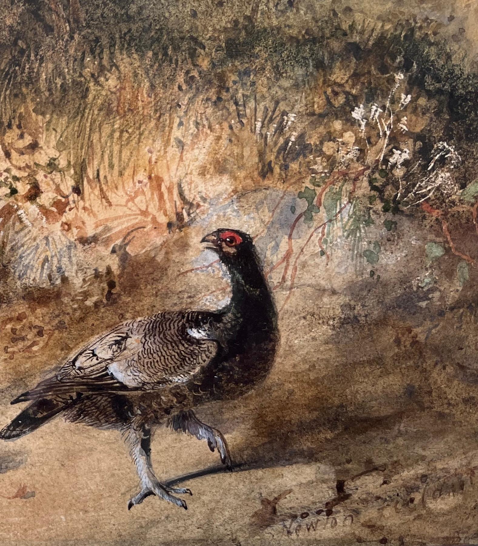 Aquarelle anglaise ancienne représentant des phénix dans un cadre boisé en vente 1