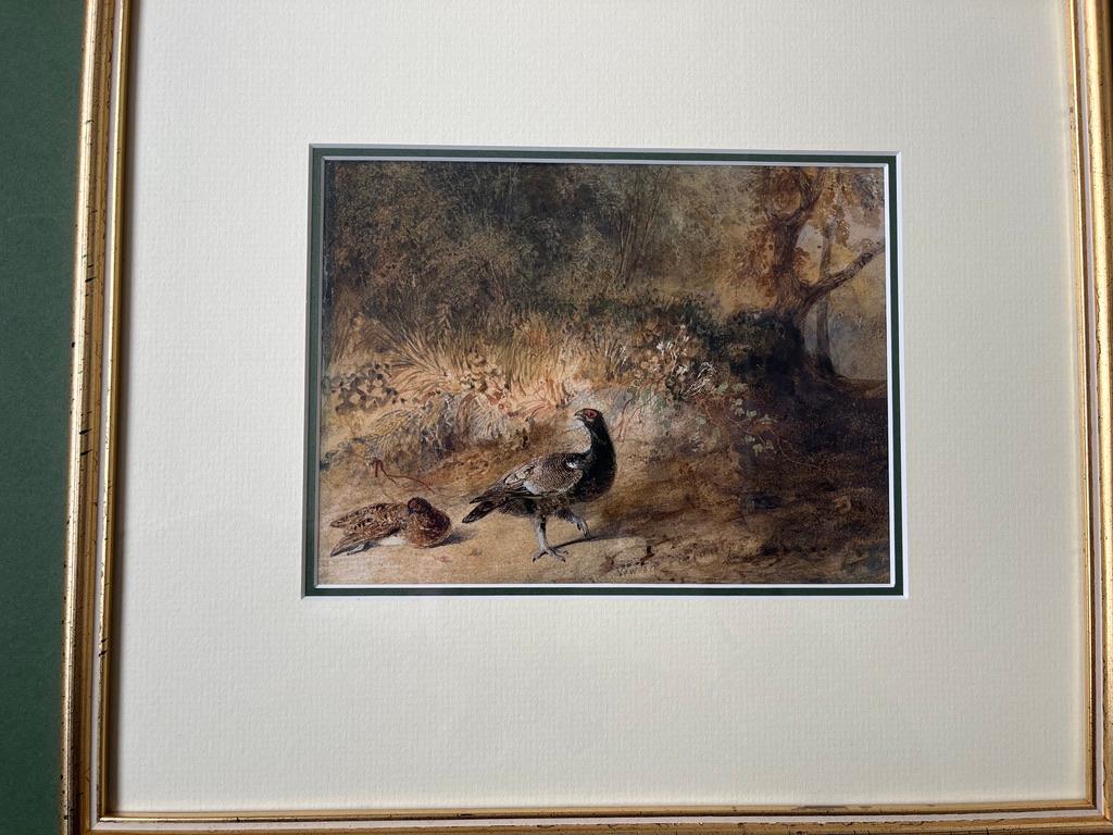 Aquarelle anglaise ancienne représentant des phénix dans un cadre boisé - Victorien Art par Newton Smith Limbird Fielding