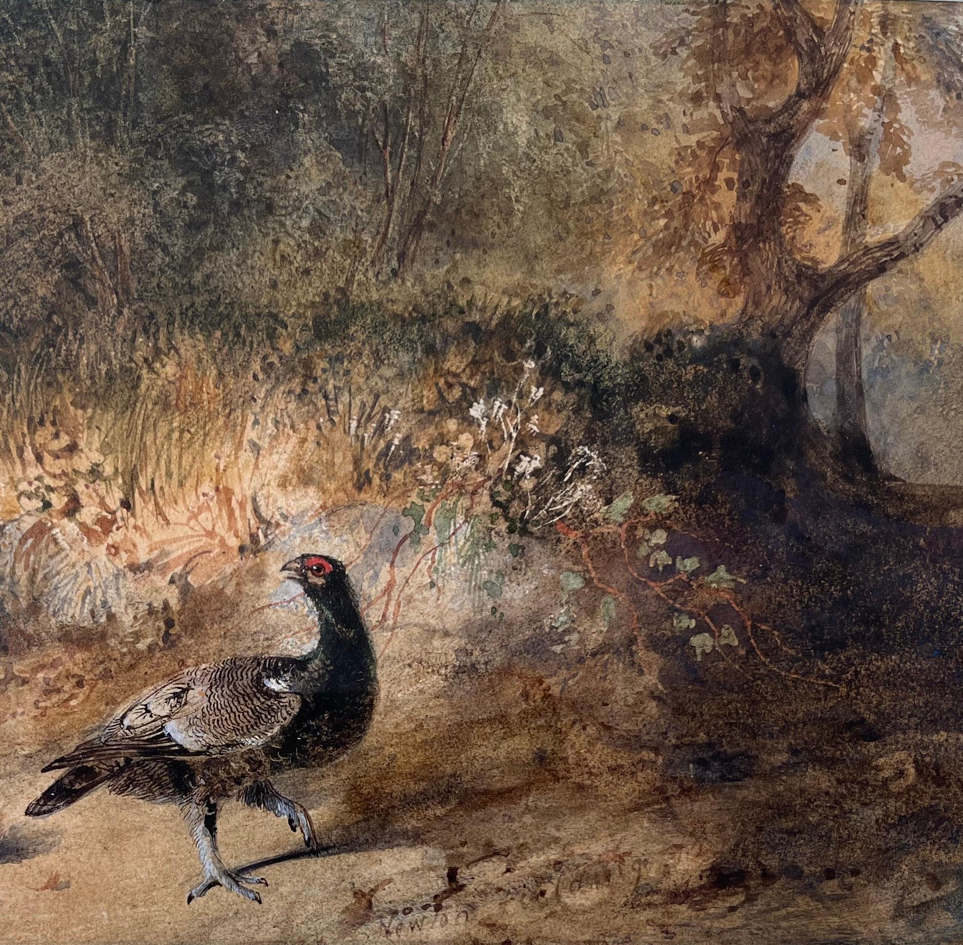 Aquarelle anglaise ancienne représentant des phénix dans un cadre boisé en vente 2