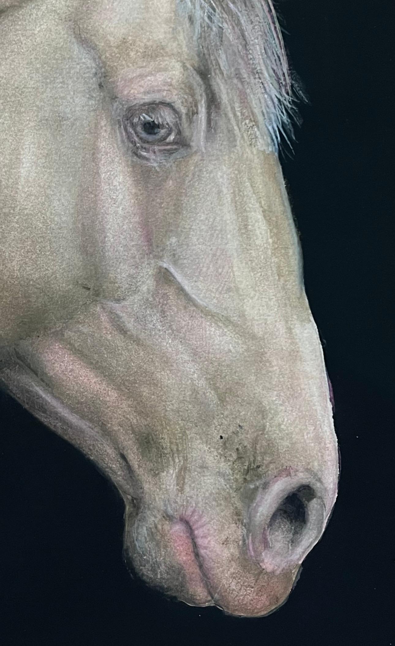 Rafael Mckenzie Soares, Artista della natura, Ritratto di cavallo o equino in vendita 5