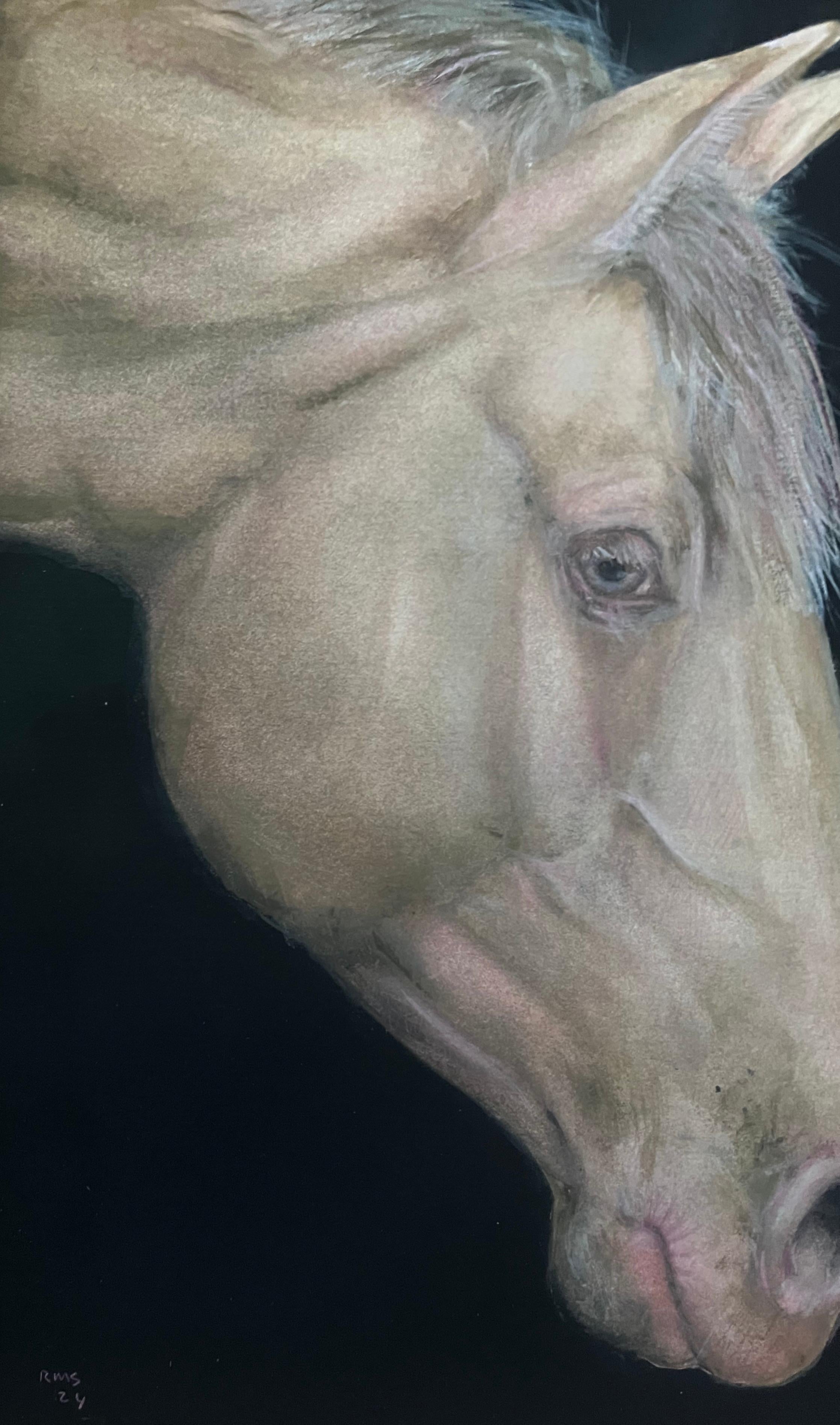 Rafael Mckenzie Soares, Artista della natura, Ritratto di cavallo o equino in vendita 6