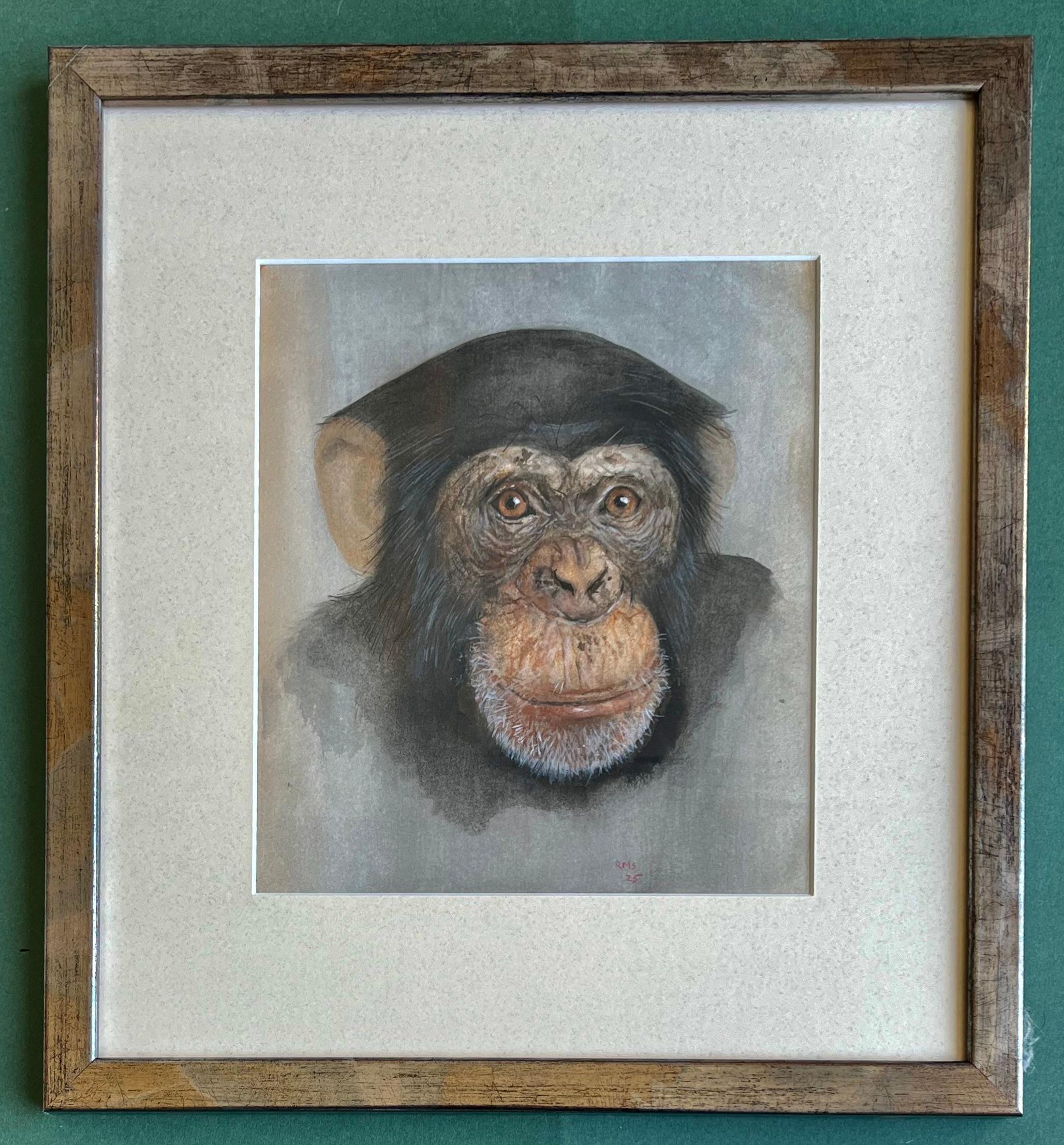 Rafael Mckenzie Soares, Artista de la vida salvaje, Mono chimpancé en venta 3