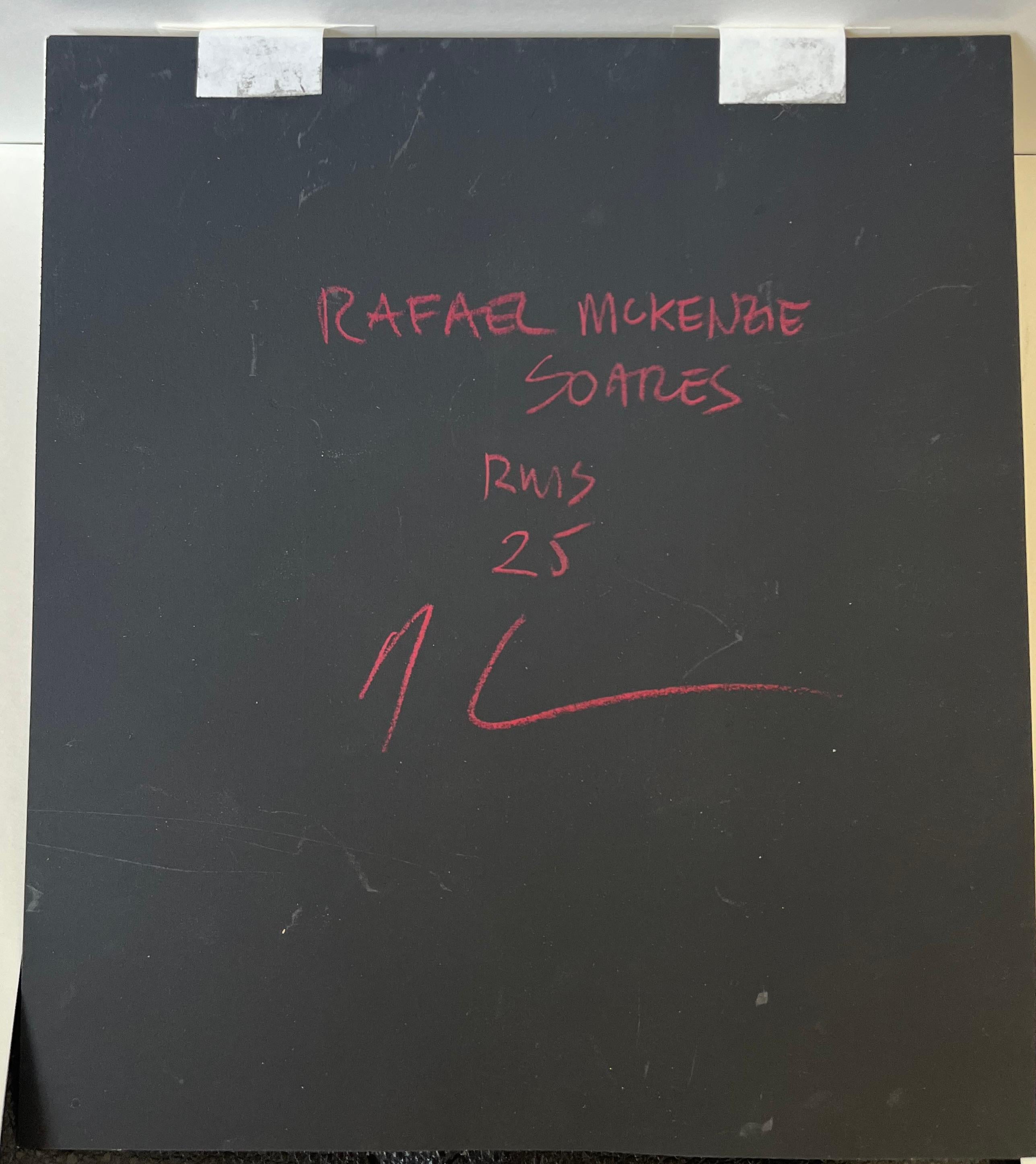 Rafael Mckenzie Soares, Artista de la vida salvaje, Mono chimpancé en venta 4