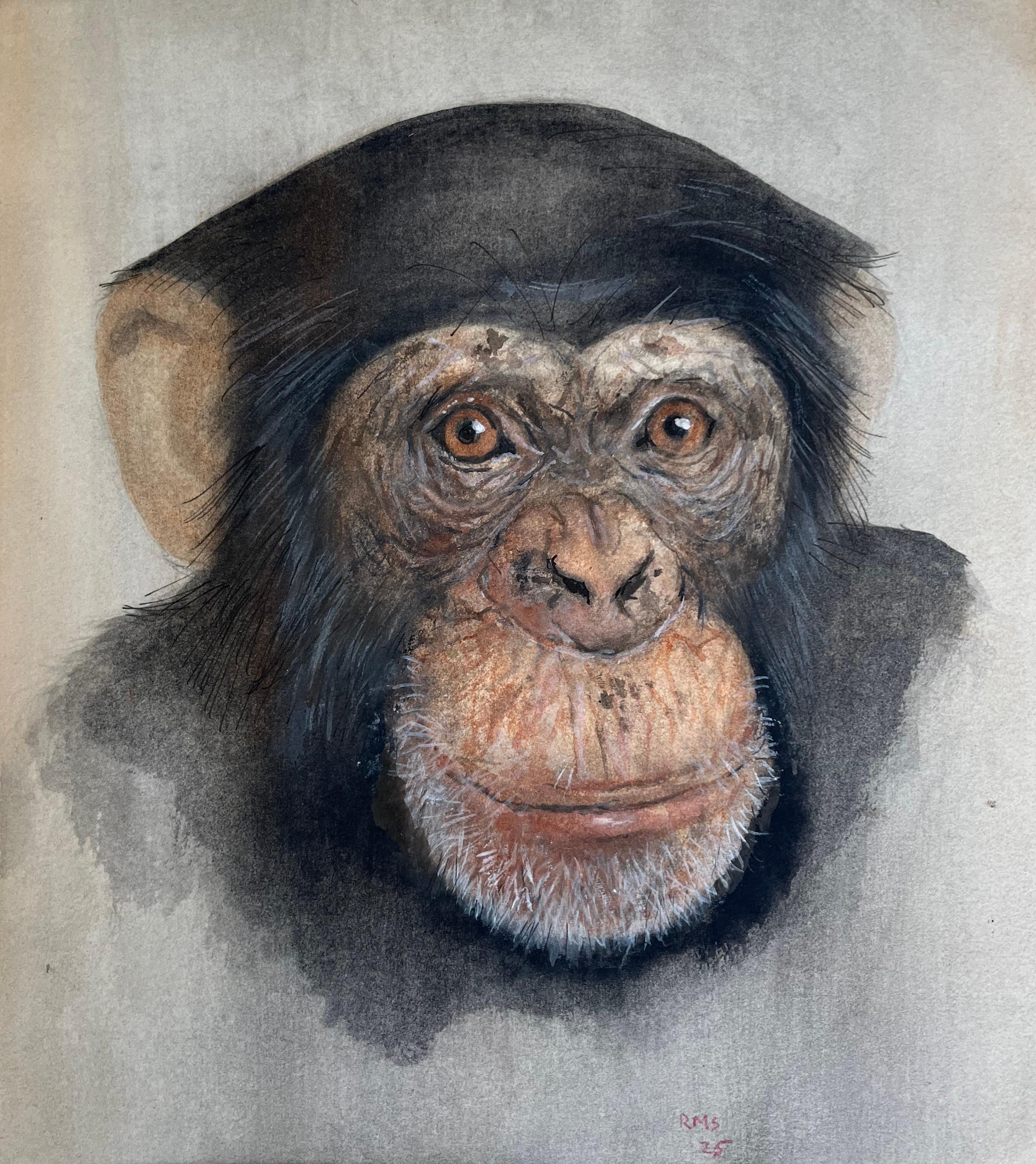 Rafael Mckenzie Soares, Artista de la vida salvaje, Mono chimpancé en venta 1