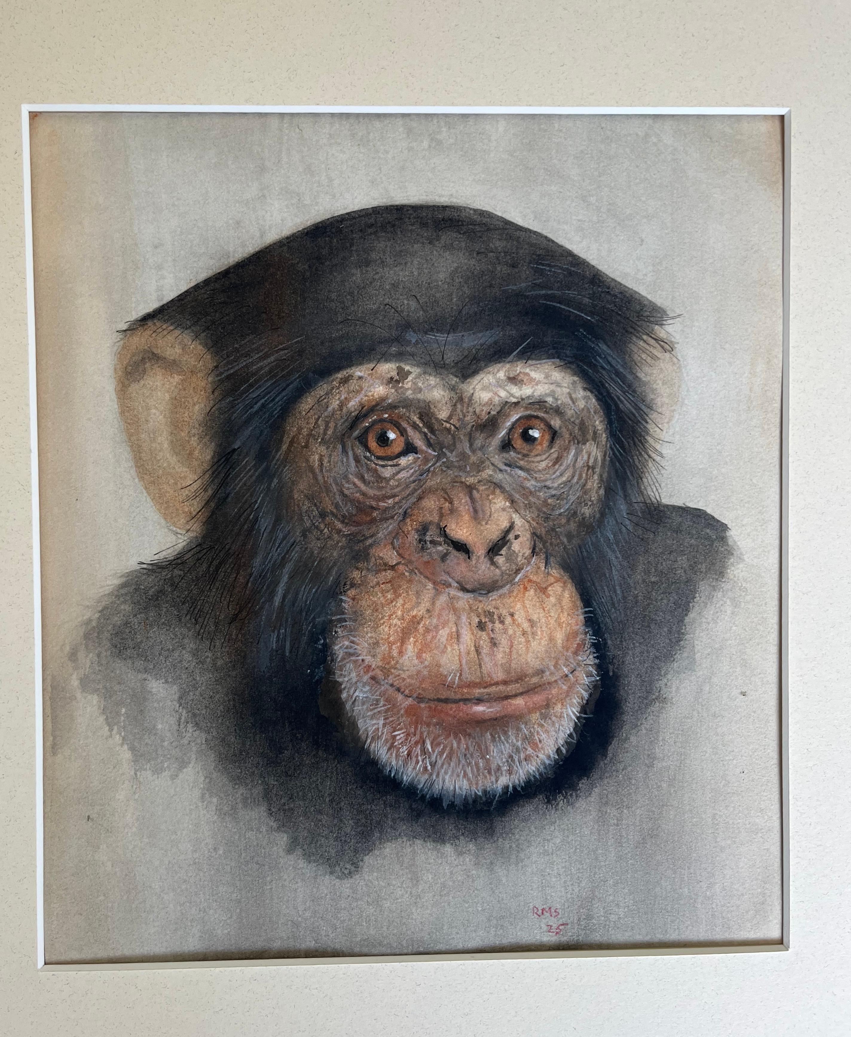 Rafael Mckenzie Soares, Artista de la vida salvaje, Mono chimpancé en venta 2