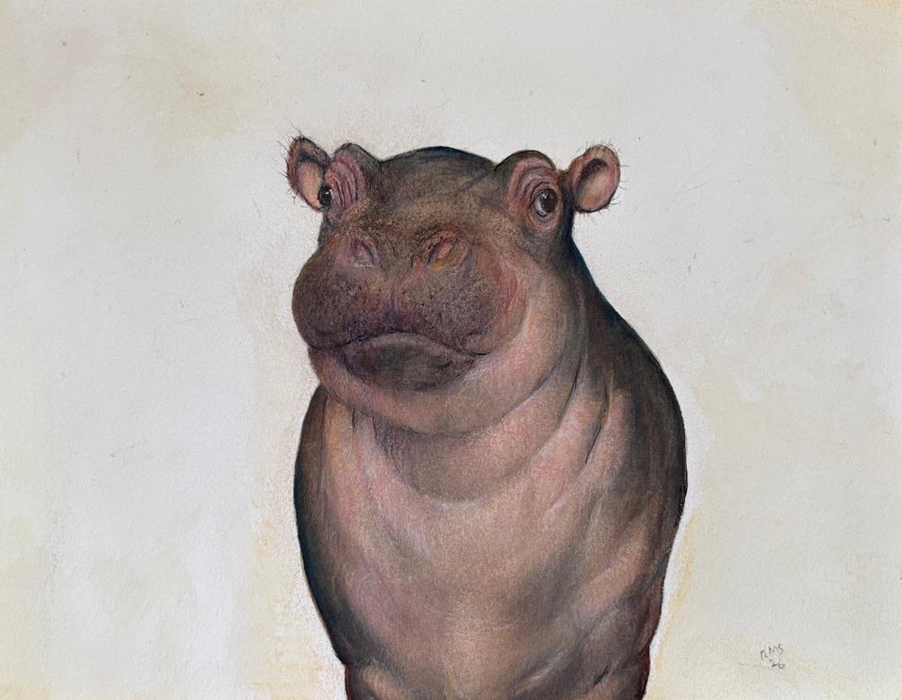 Hippo Watercolor Study, Naturalistic Style, Signed, Framed, 2010-