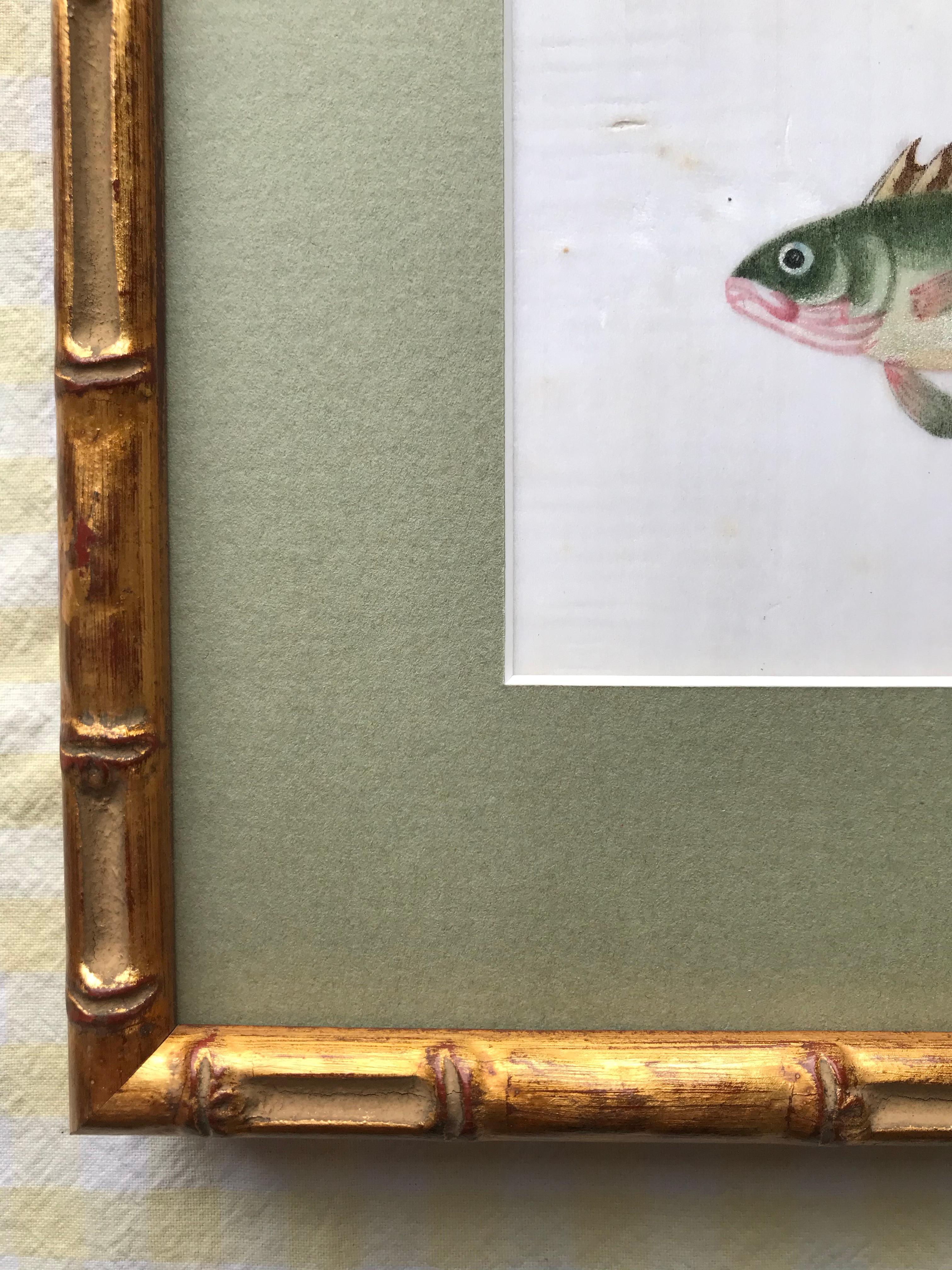 A pair of 19th Century Chinese Export Rice Pith Paper watercolors of fish 2