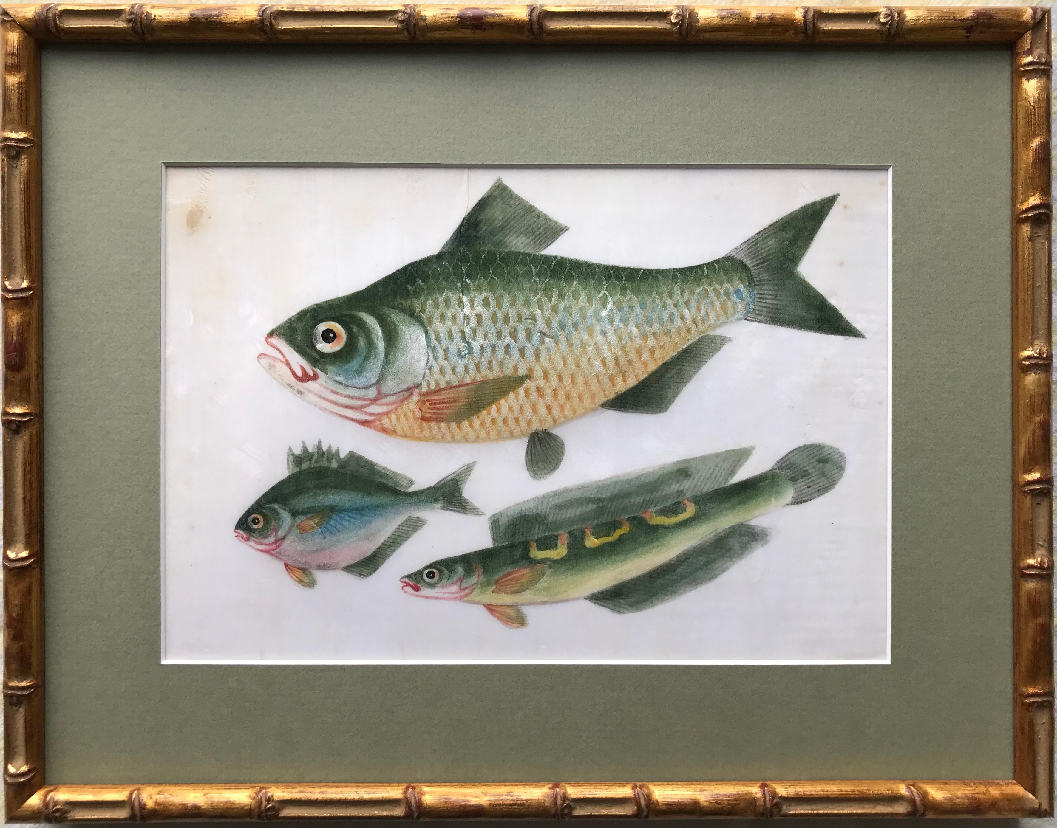 A pair of 19th Century Chinese Export Rice Pith Paper watercolors of fish - Art by 19th Century Chinese school