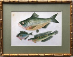 A pair of 19th Century Chinese Export Rice Pith Paper watercolors of fish