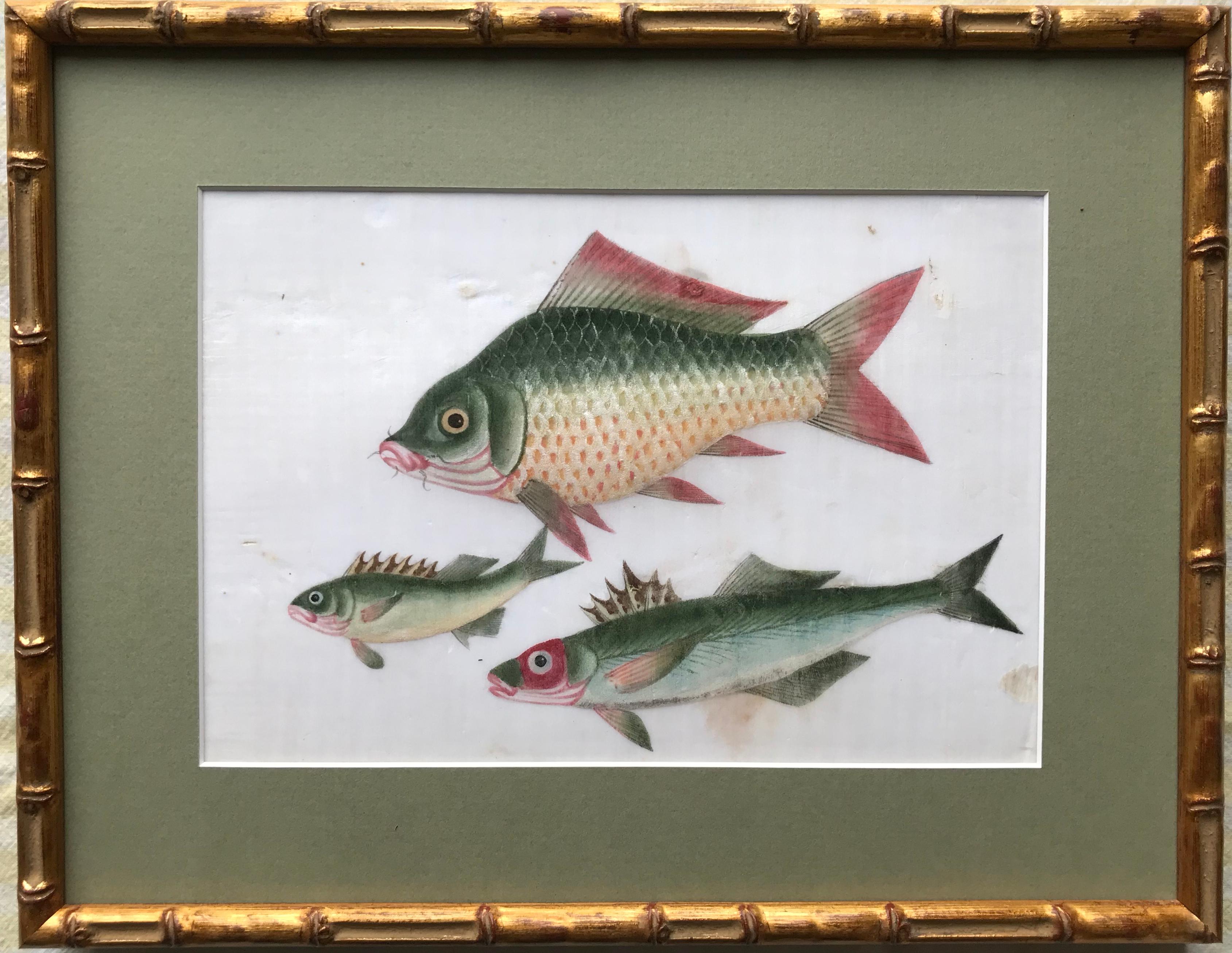 A pair of 19th Century Chinese Export Rice Pith Paper watercolors of fish - Gray Animal Art by 19th Century Chinese school