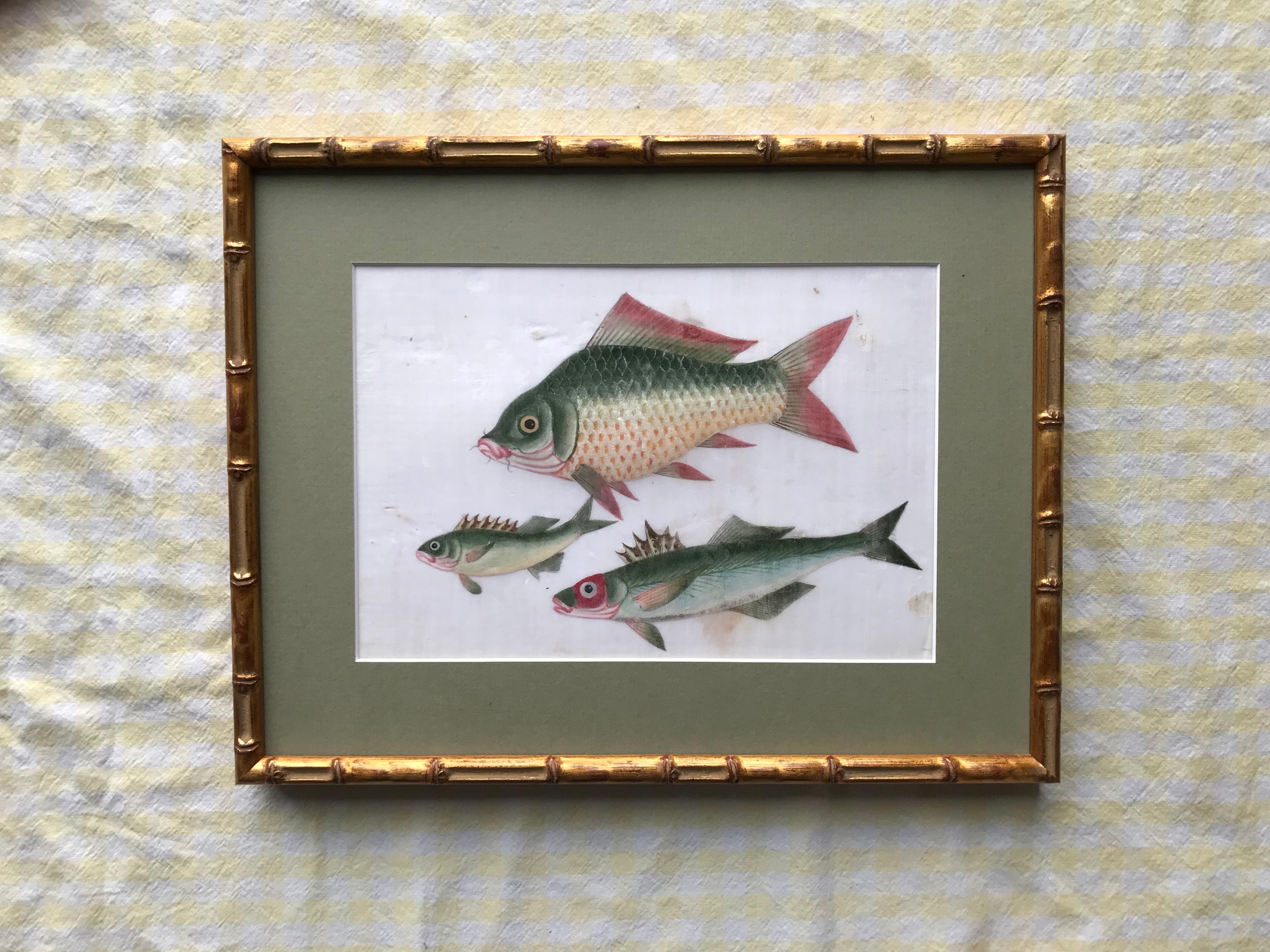 A pair of 19th Century Chinese Export Rice Pith Paper watercolors of fish 1