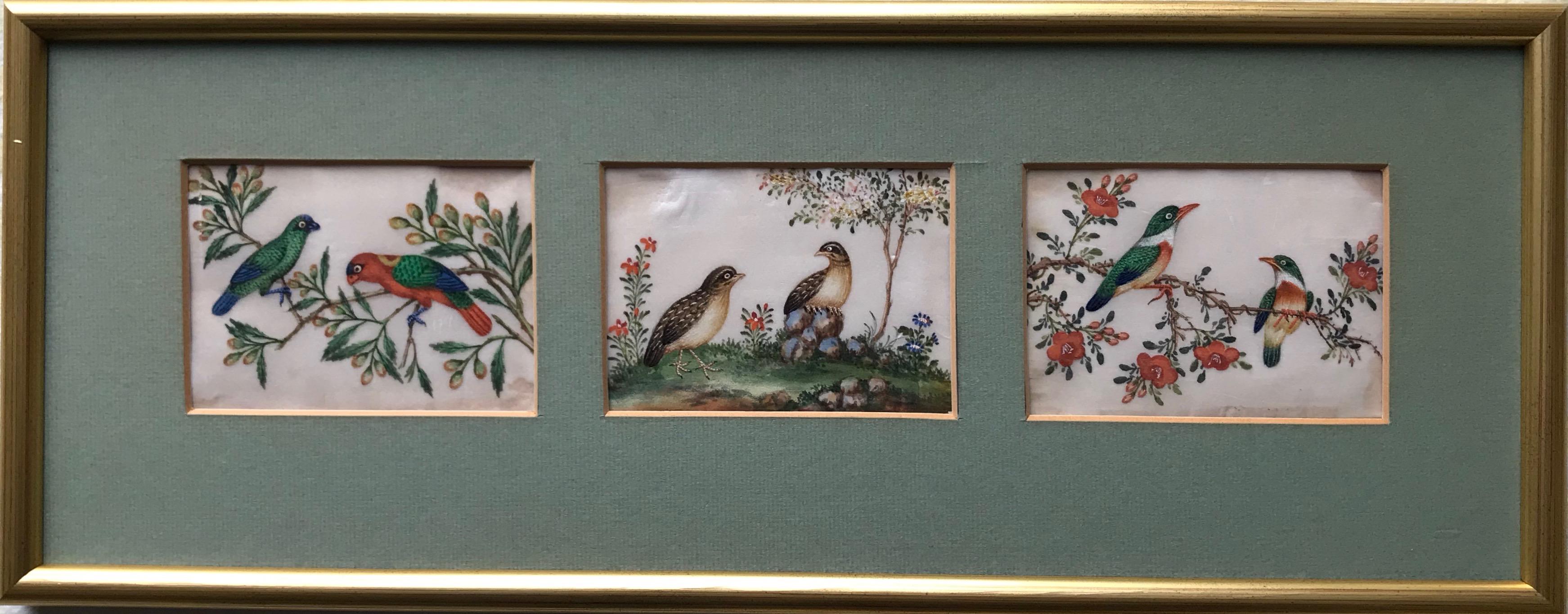 Three 19th Century Chinese Export Rice Pith Paper watercolors of birds - Art by 19th Century Chinese school