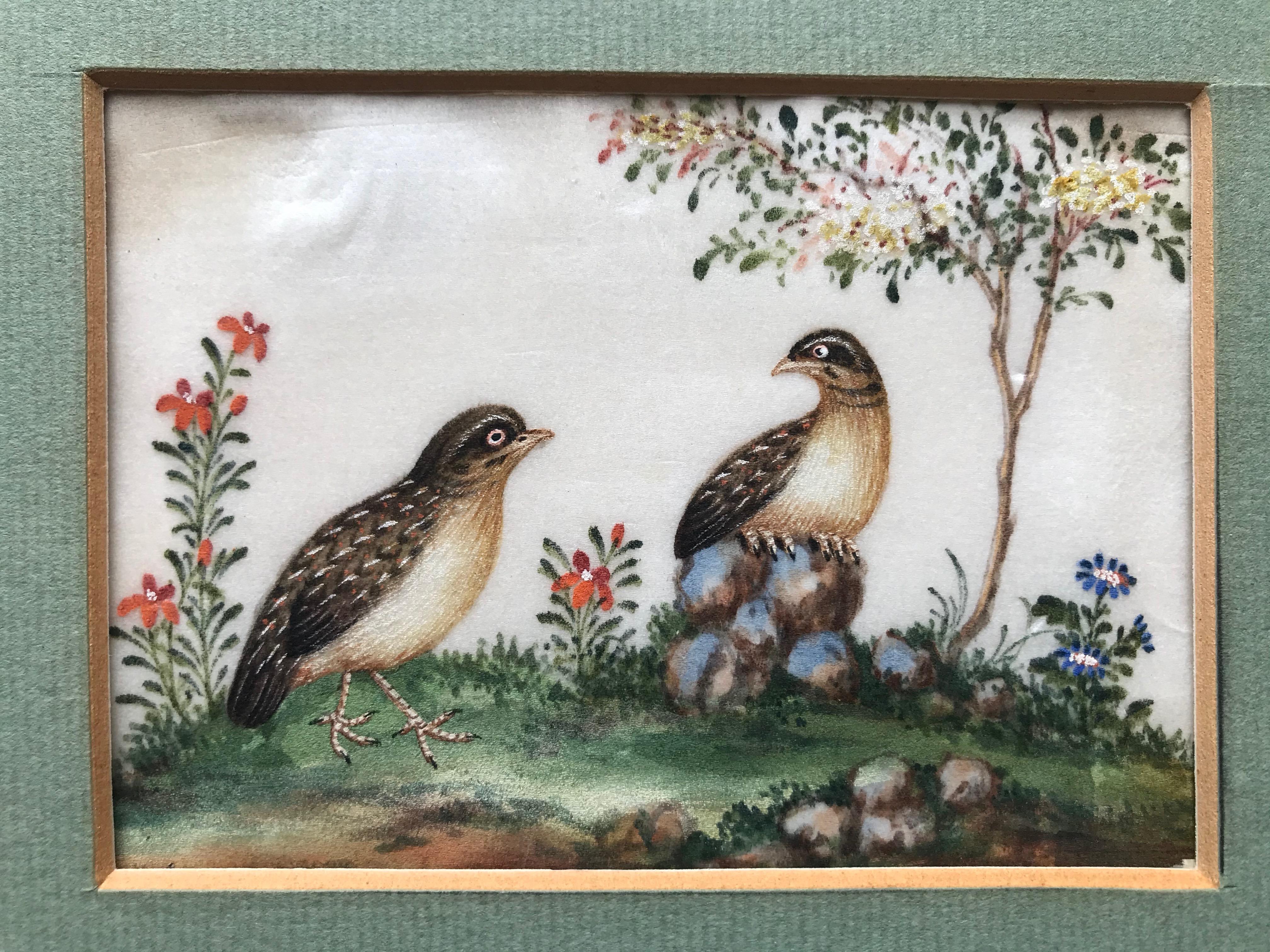Three 19th Century Chinese Export Rice Pith Paper watercolors of birds - Naturalistic Art by 19th Century Chinese school