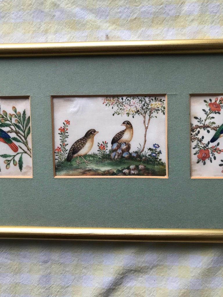 Three 19th Century Chinese Export Rice Pith Paper watercolors of birds For Sale 1