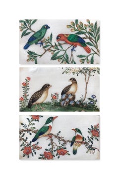 Antique Three 19th Century Chinese Export Rice Pith Paper watercolors of birds