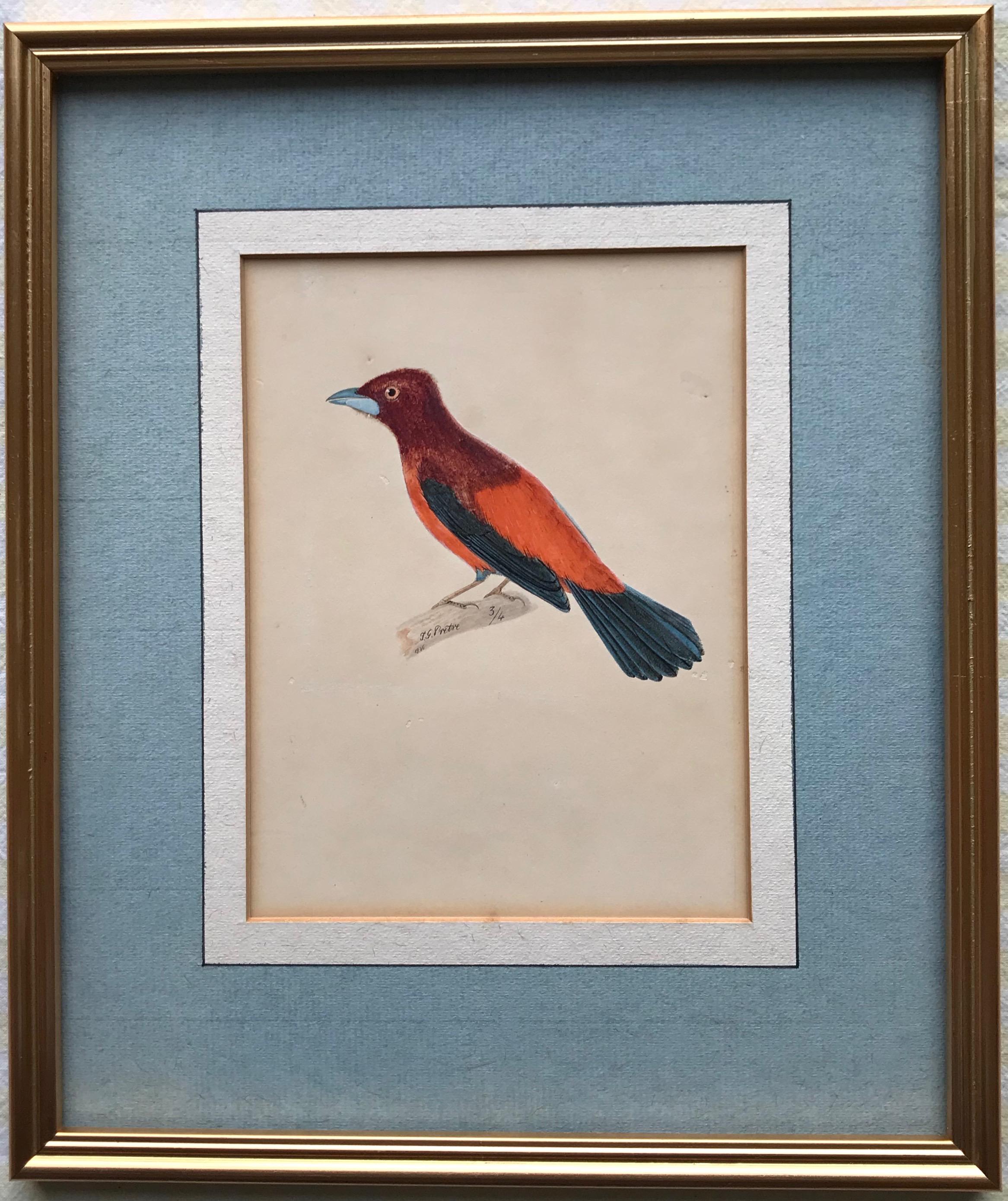 swiss artists painting of a bird