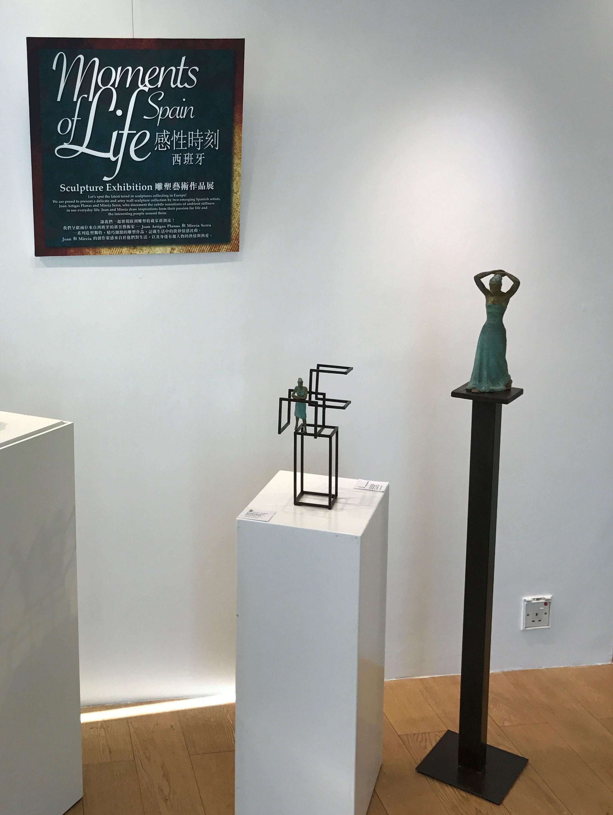 Sensualidad III es una escultura de bronce patinado en verde, unida a una base de acero. El tamaño de la edición es de 8. La escultura se enviará en una caja de madera para protegerla al máximo durante el transporte.

La última serie escultórica de