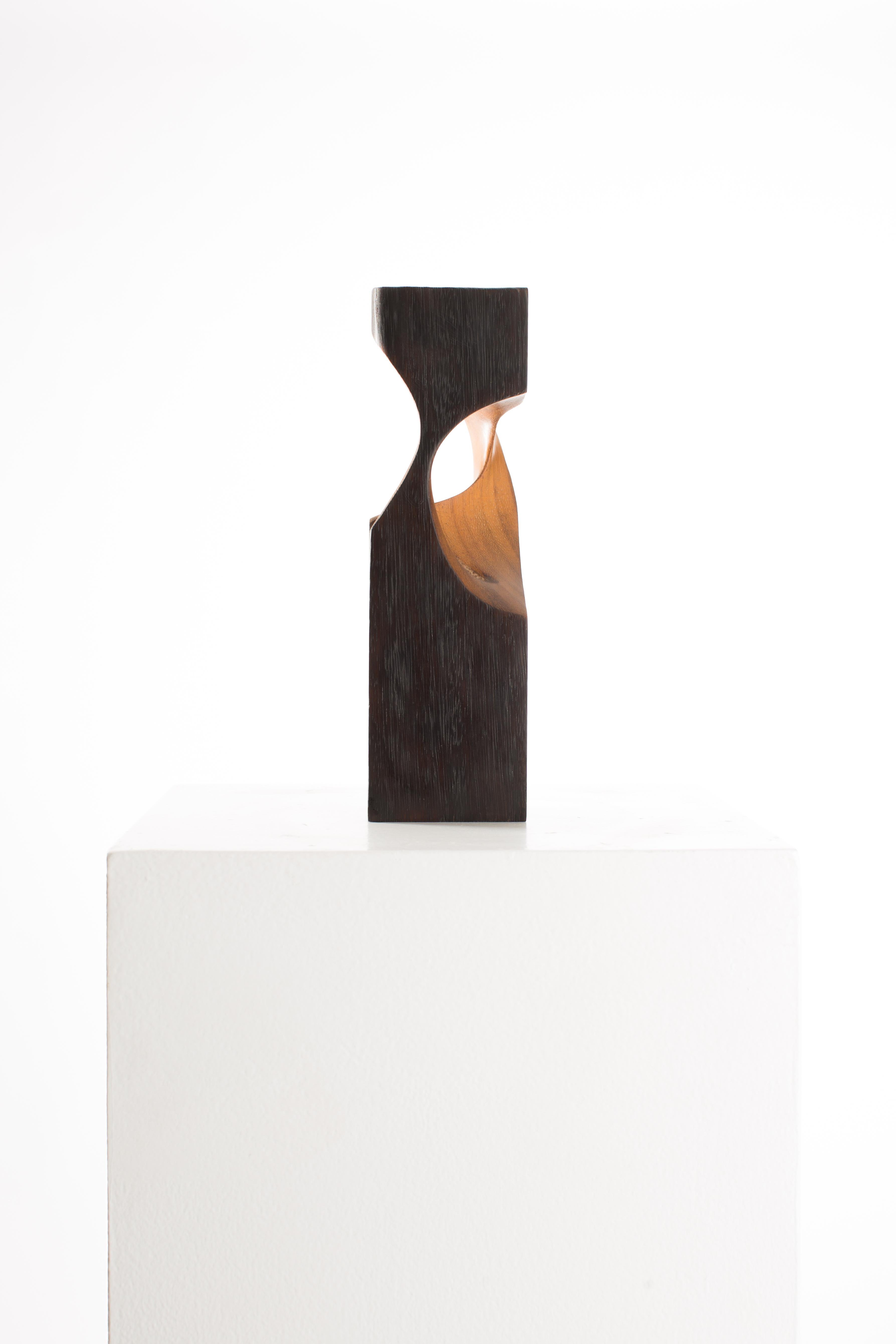 Black, Raw, Satin, Wood, Abstract, Contemporary, Modern, Sculpture - Brown Abstract Sculpture by Driaan Claassen