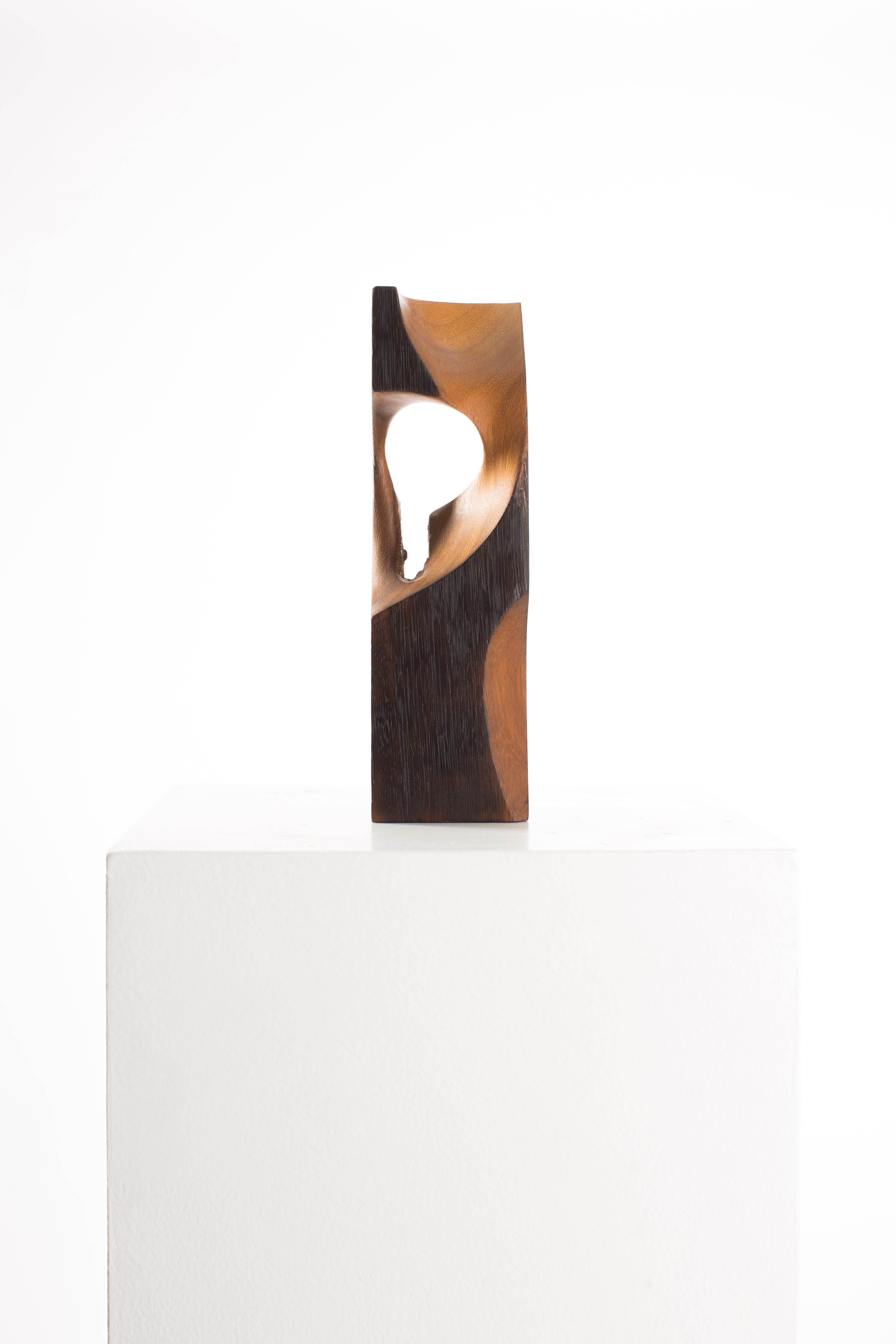 Wooden Cuboid 001 
1/1
Camphor Wood 
24cm x 7cm x 7cm 
0.45Kg
2016

Crystalized Sculptures is an abstracted exploration of marks left on the physical mind by experiences of emotion and feelings. In Driaan Claassens' work, where whisps portray the