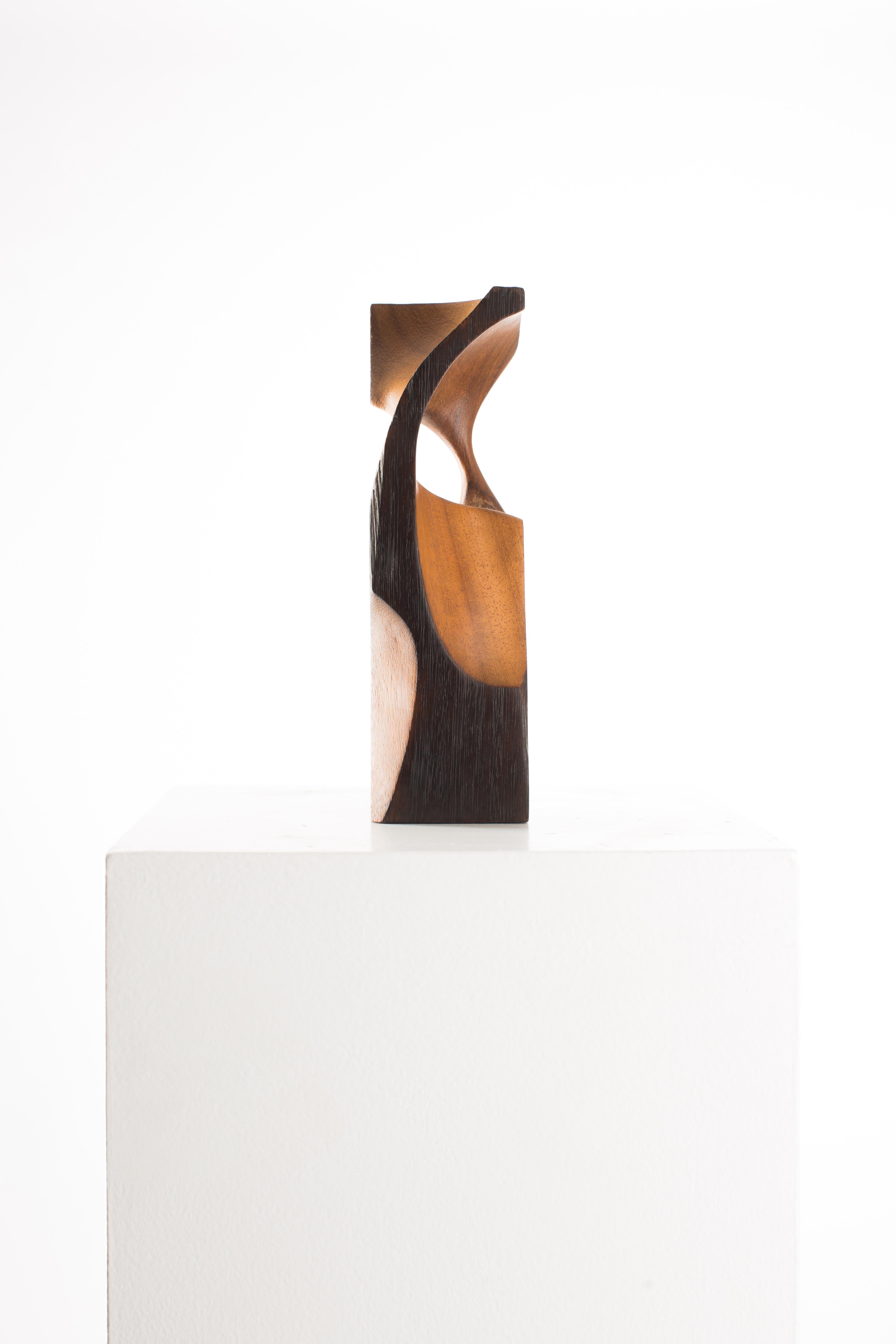 Black, Raw, Satin, Wood, Abstract, Contemporary, Modern, Sculpture For Sale 3