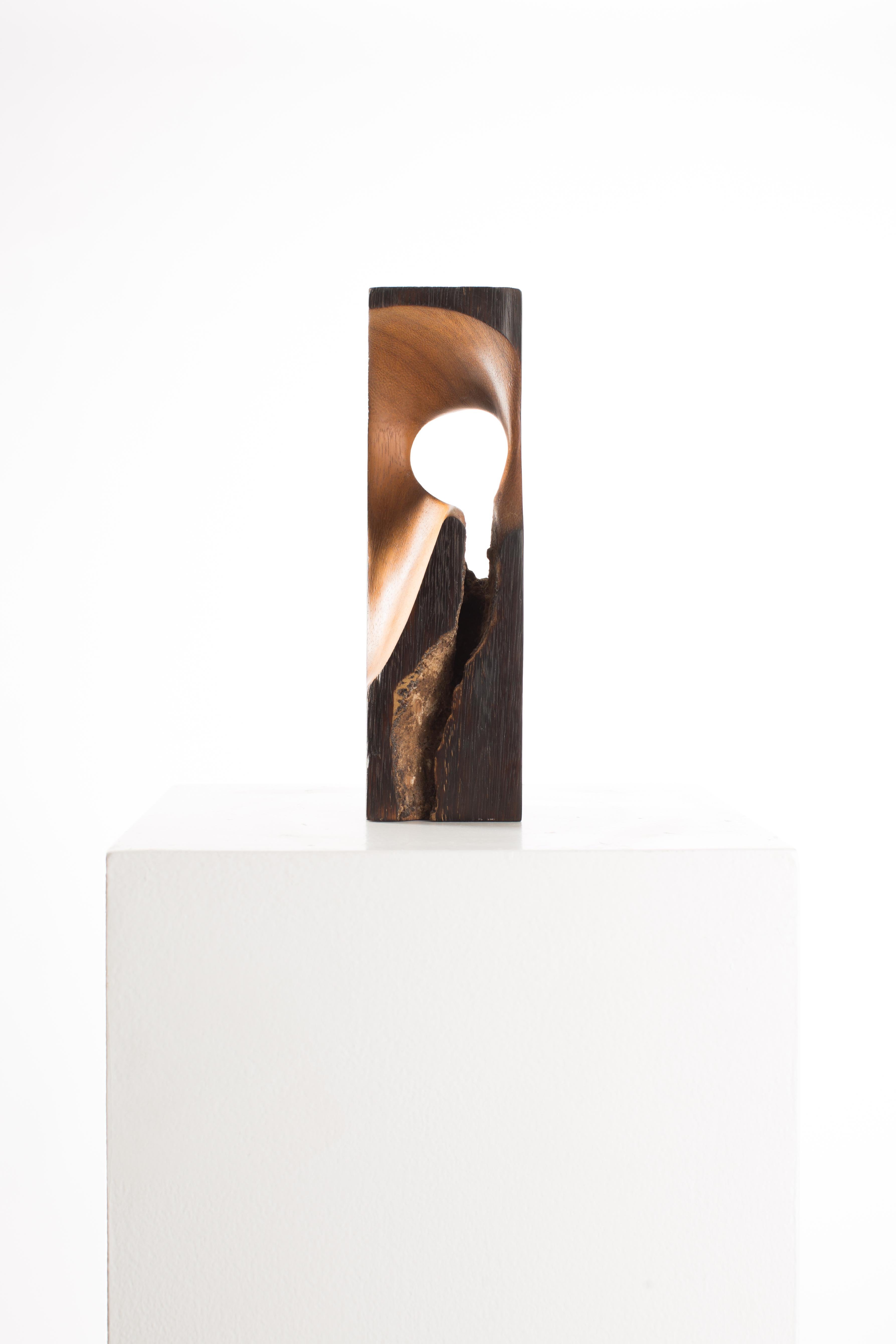 Driaan Claassen Abstract Sculpture - Black, Raw, Satin, Wood, Abstract, Contemporary, Modern, Sculpture
