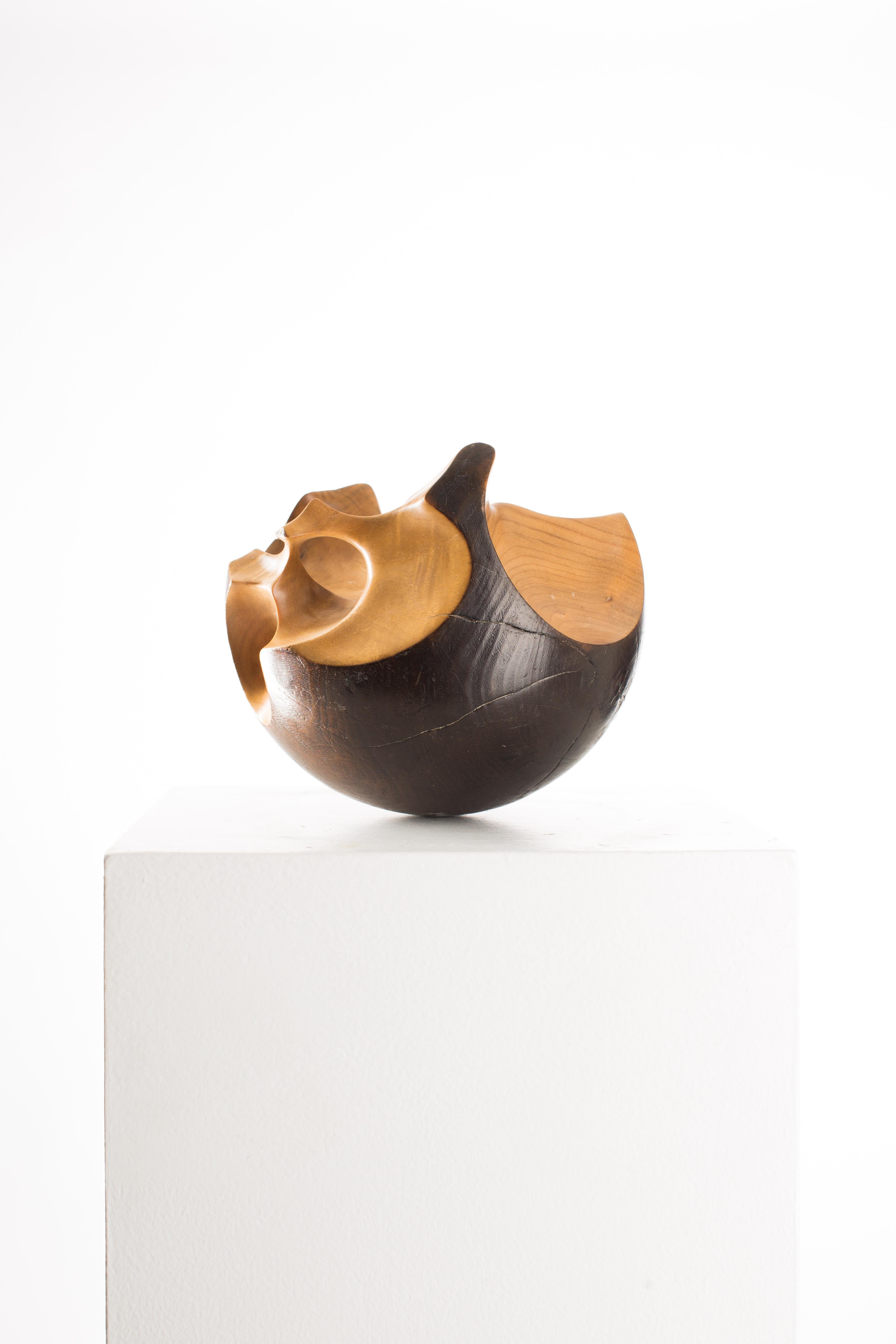 Black, Raw, Satin, Wood, Abstract, Contemporary, Modern, Sculpture