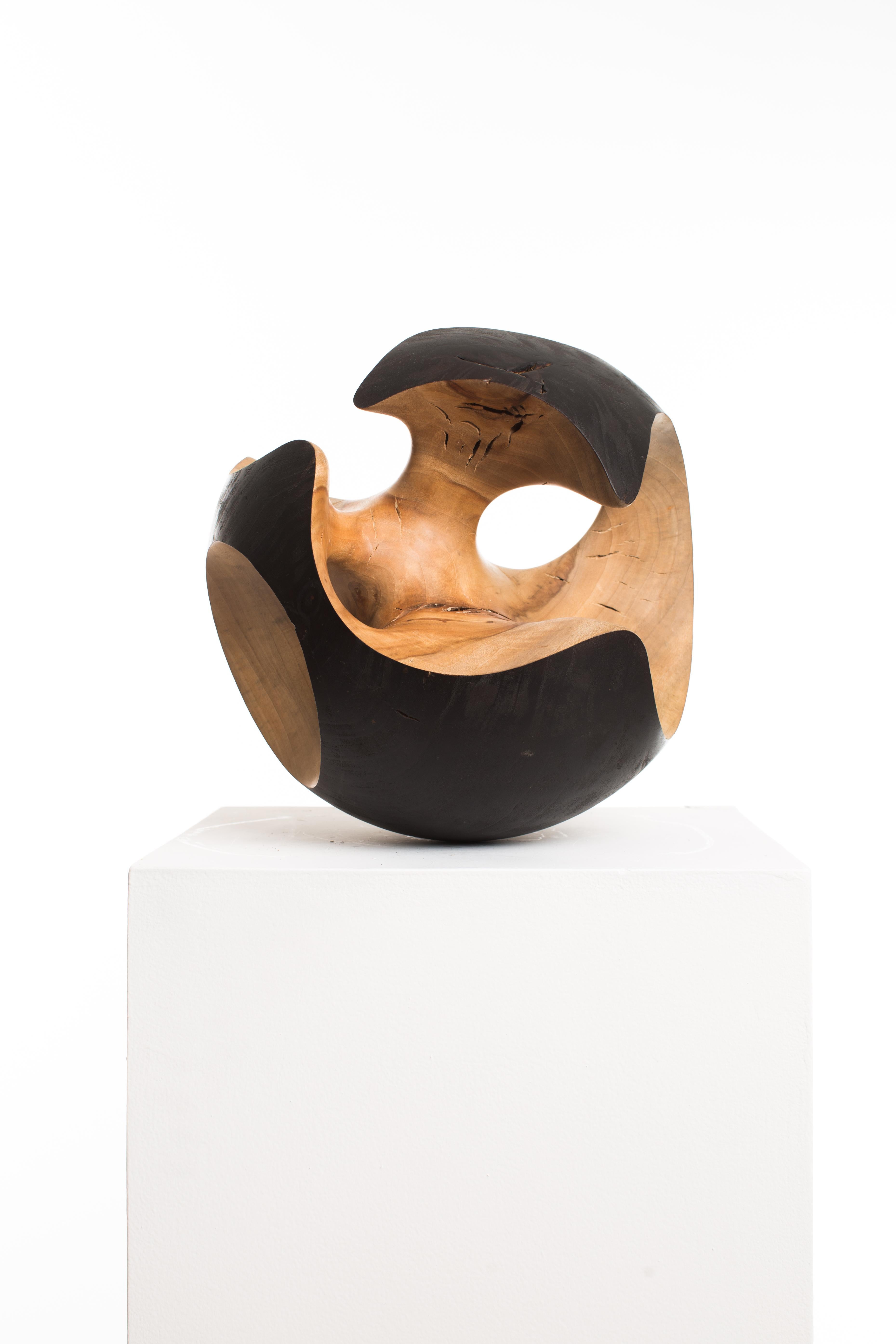 Raw, Black, Wood, Matte, Abstract, Contemporary, Modern, Sculpture - Brown Abstract Sculpture by Driaan Claassen