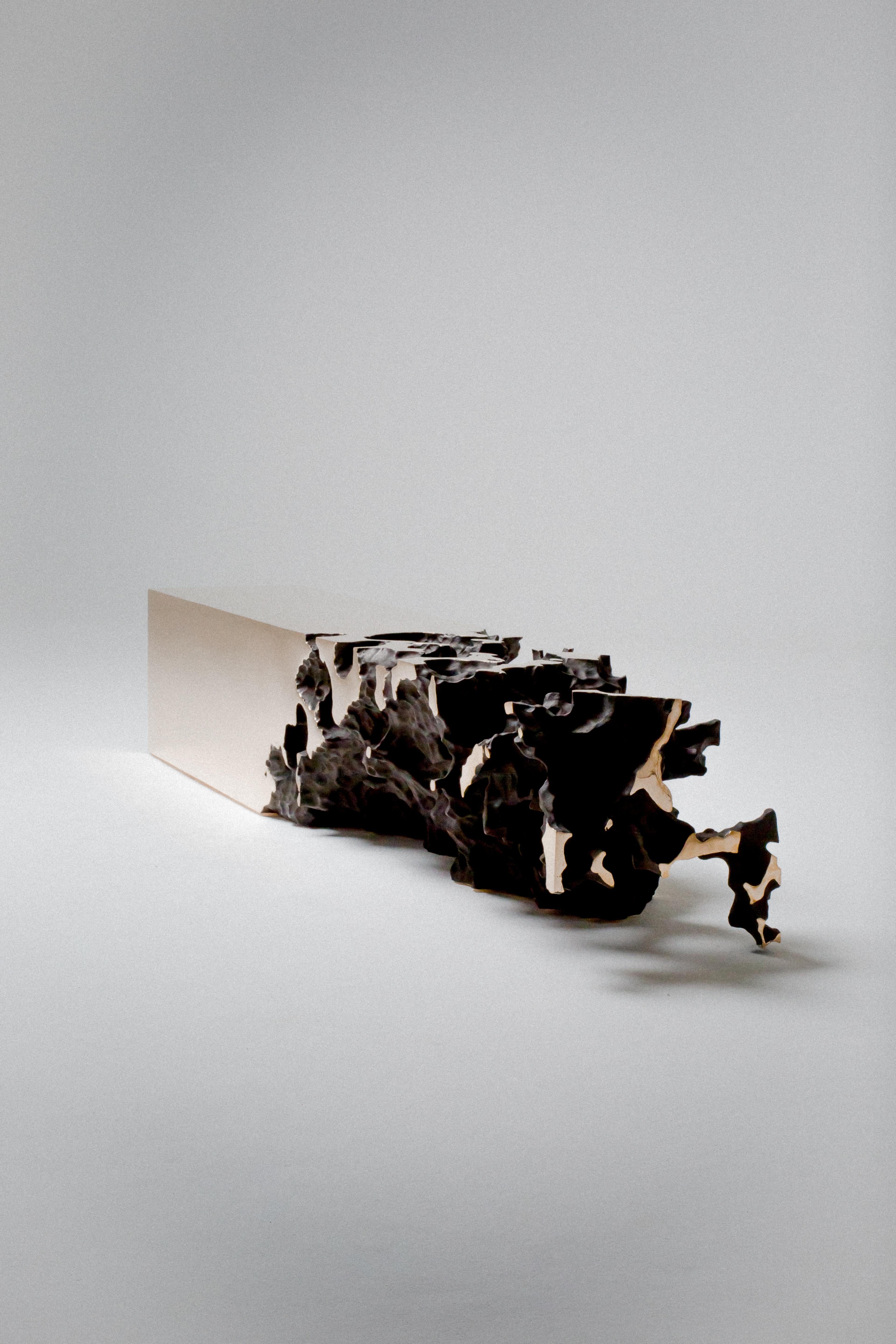 Driaan Claassen Abstract Sculpture - Polished, Black, Bronze, Patina, Abstract, Contemporary, Modern, Sculpture