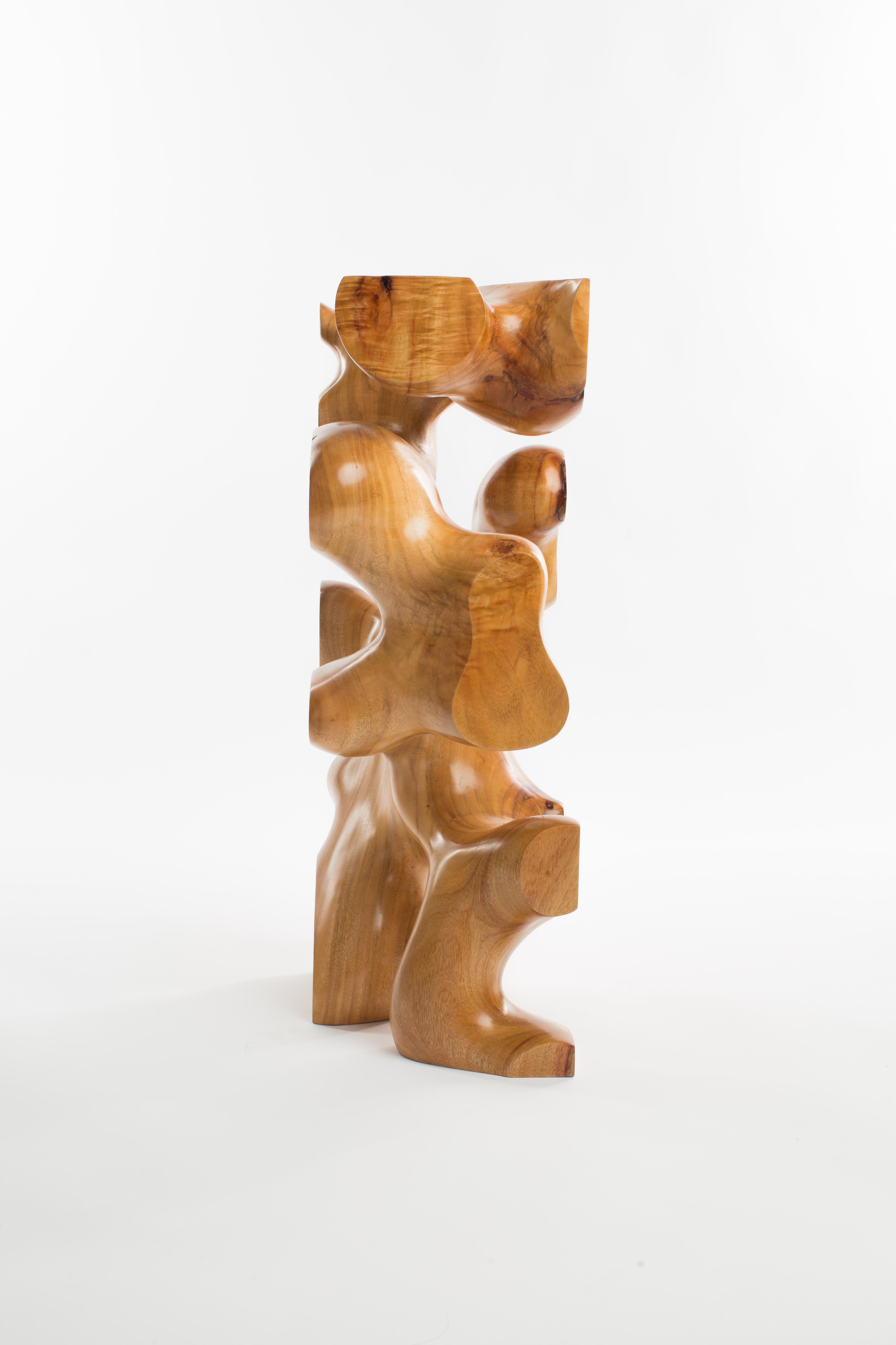 Raw, Wood, Satin, Varnish, Abstract, Contemporary, Modern, Sculpture - Brown Abstract Sculpture by Driaan Claassen