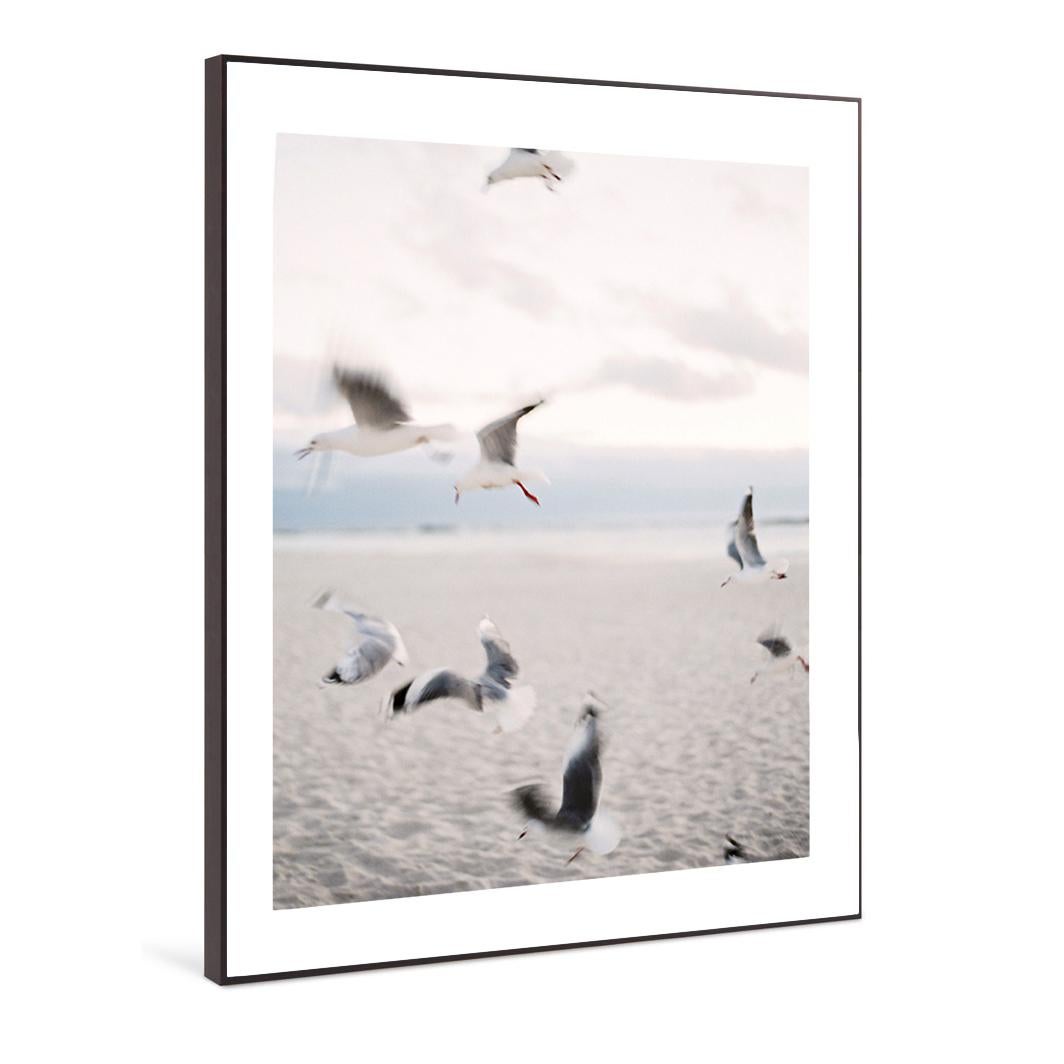 Seagulls - Photographie Analogique de Paysage Couleur Contemporain Moyen Format - Gris Color Photograph par Pia Clodi