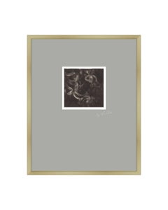 Past Bloom I - Fotografia polaroid originale contemporanea in bianco e nero con cornice