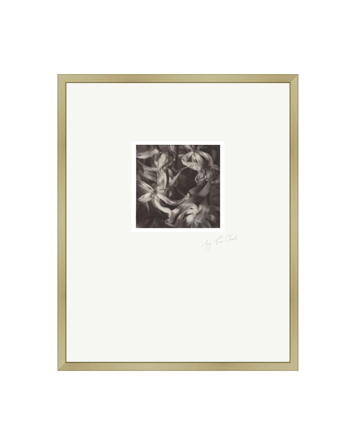 Pia Clodi - Past Bloom I - Contemporary Black and White Original Polaroid  Photograph Framed For Sale at 1stDibs