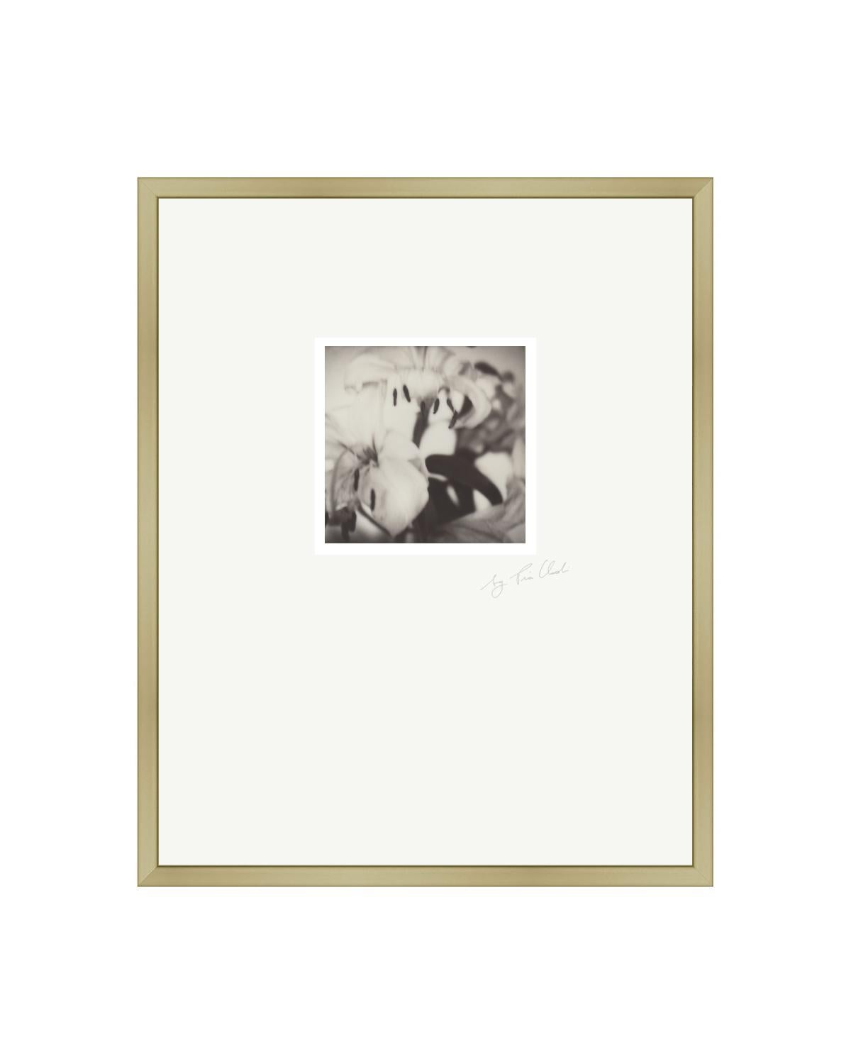 Past Bloom II - Photographie Polaroid contemporaine noire et blanche originale encadrée