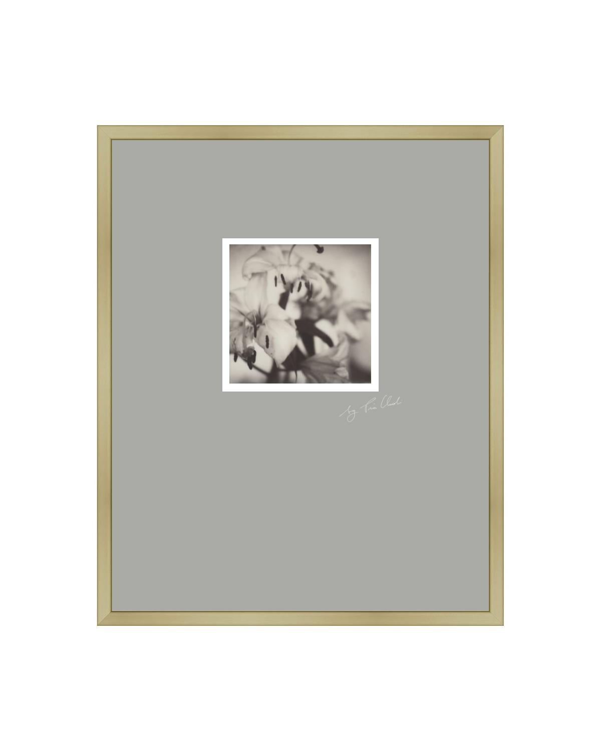Past Bloom III - Contemporary Black & White Polaroid Original Photograph Framed - Gray Black and White Photograph by Pia Clodi
