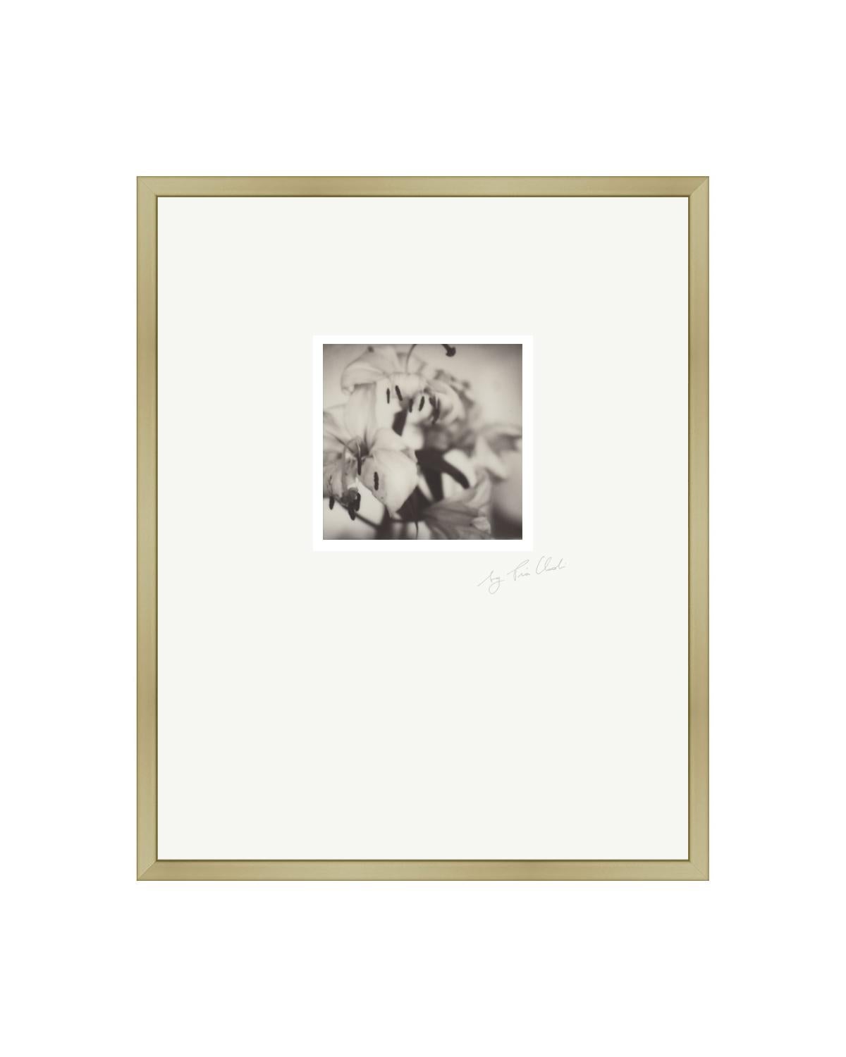 Pia Clodi Black and White Photograph – Bloom III - Zeitgenössisches Schwarz-Weiß-Poloroid-Original-Foto, gerahmt