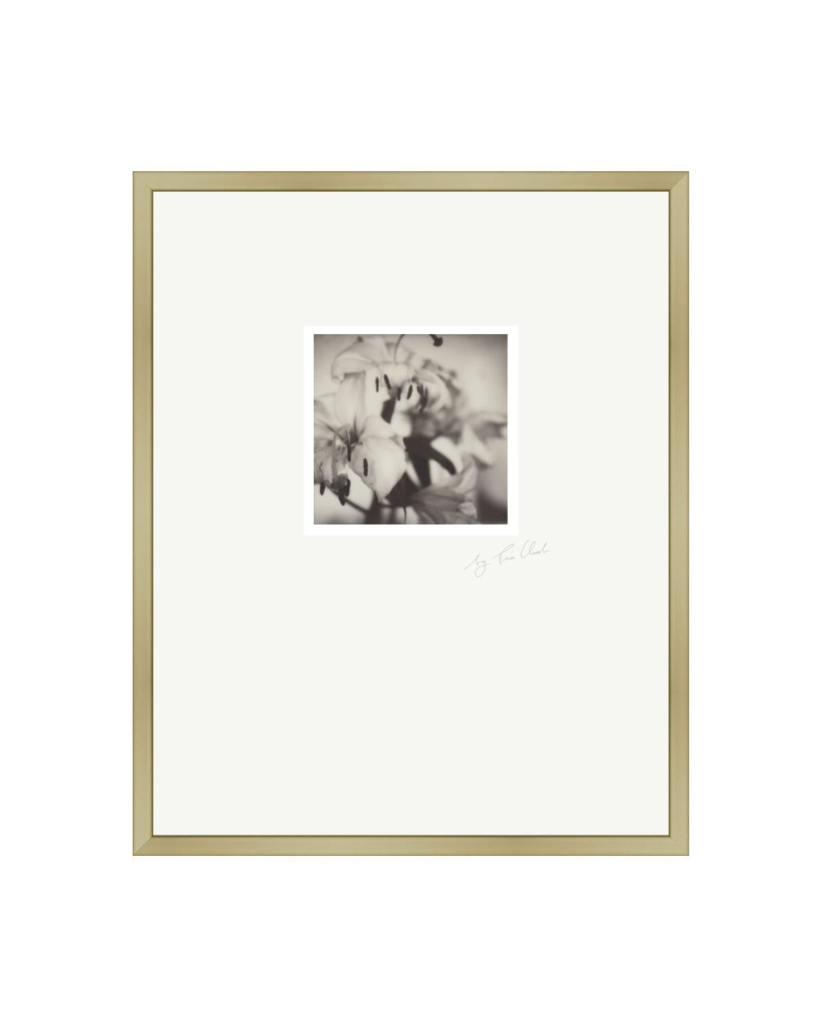 Pia Clodi Black and White Photograph - Past Bloom III - Contemporary Black & White Polaroid Original Photograph Framed