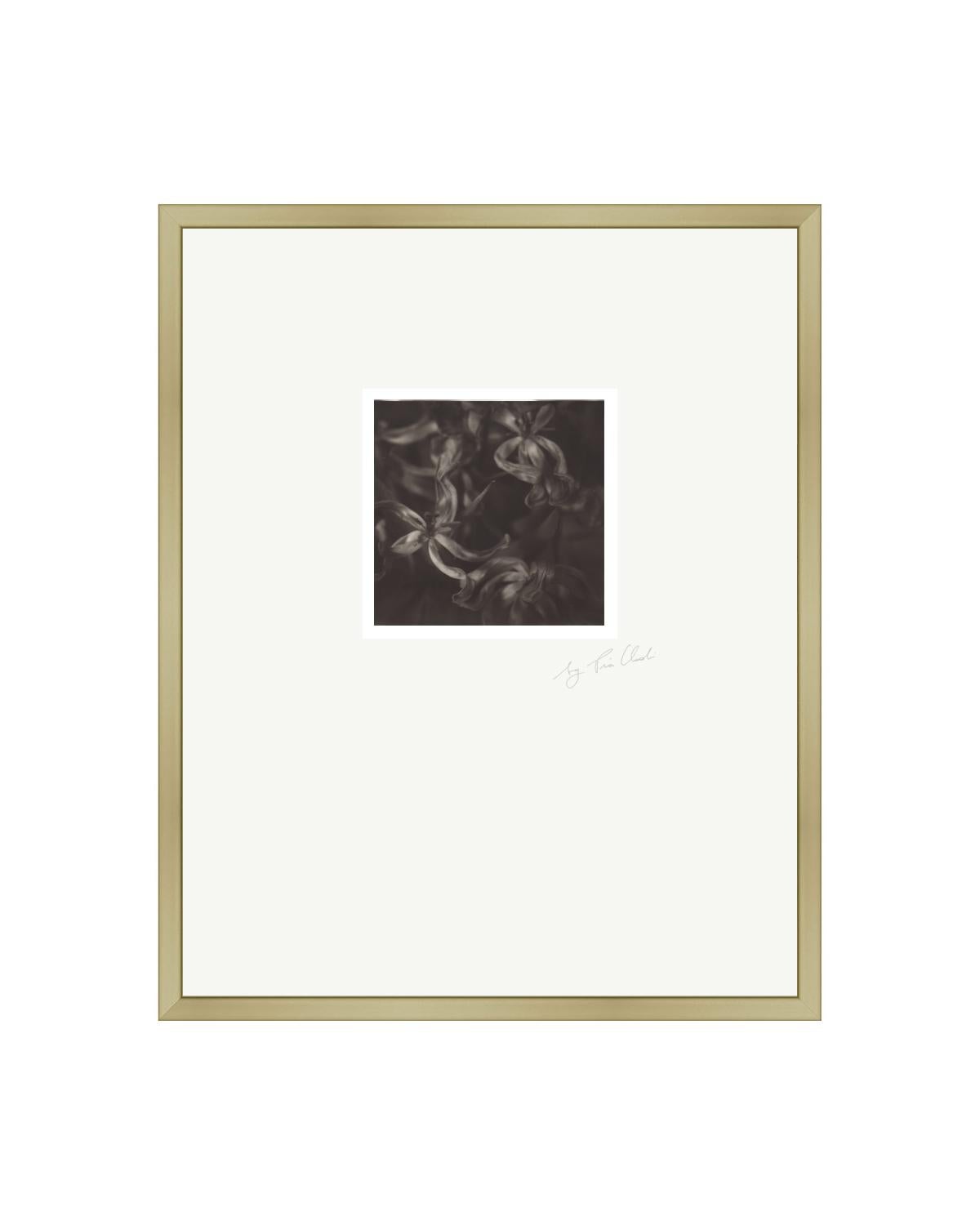 Landscape Photograph Pia Clodi - Past Bloom IV - Photographie Polaroid contemporaine noire et blanche d'origine encadrée